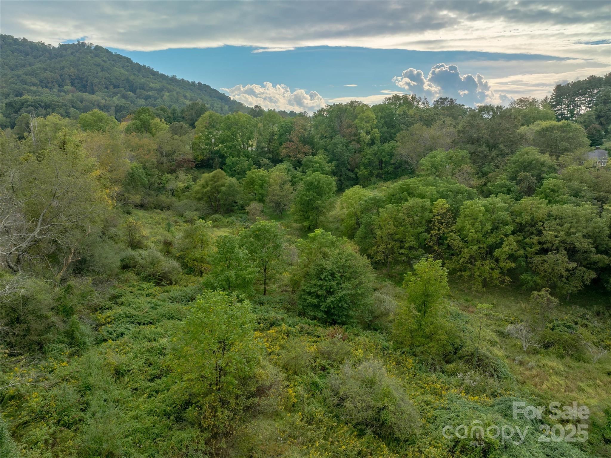 Acreage at 99999 Old Clyde Road, Canton, photo 3 of 15