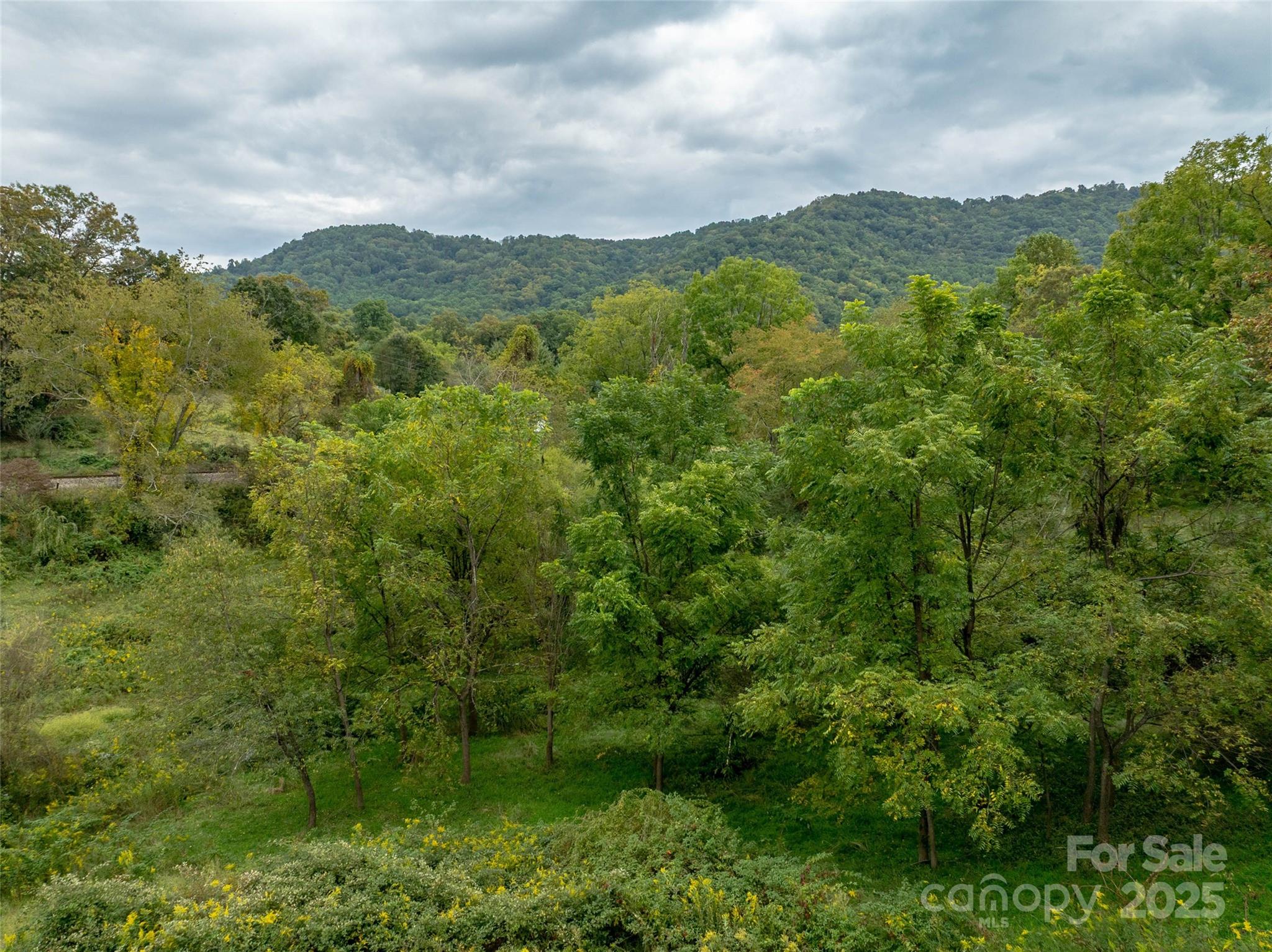 Acreage at 99999 Old Clyde Road, Canton, photo 4 of 15
