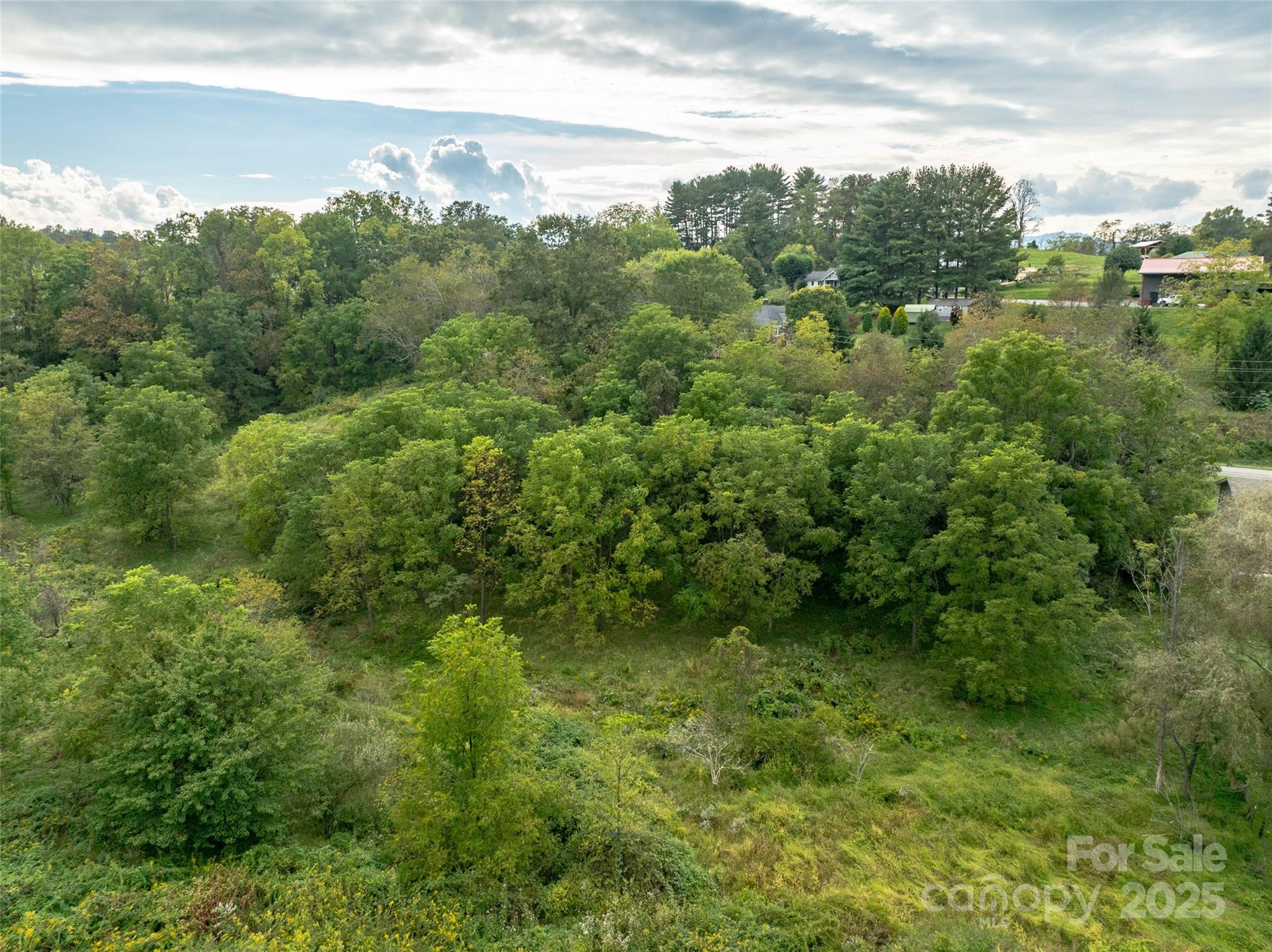 Acreage at 99999 Old Clyde Road, Canton, photo 5 of 15