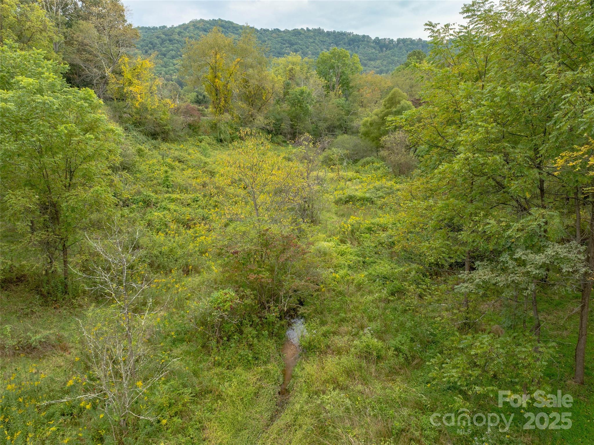 Acreage at 99999 Old Clyde Road, Canton, photo 6 of 15