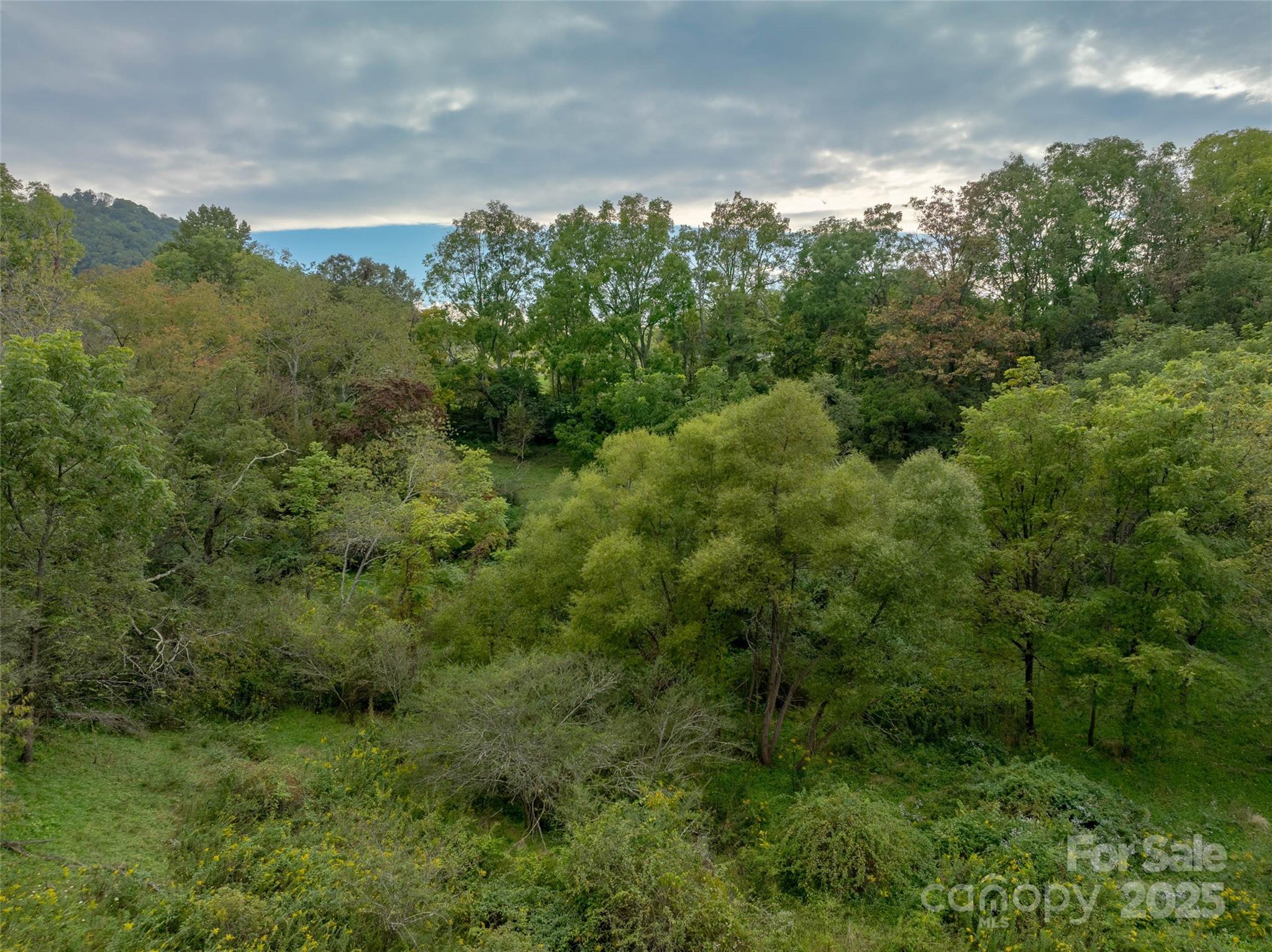 Acreage at 99999 Old Clyde Road, Canton, photo 7 of 15