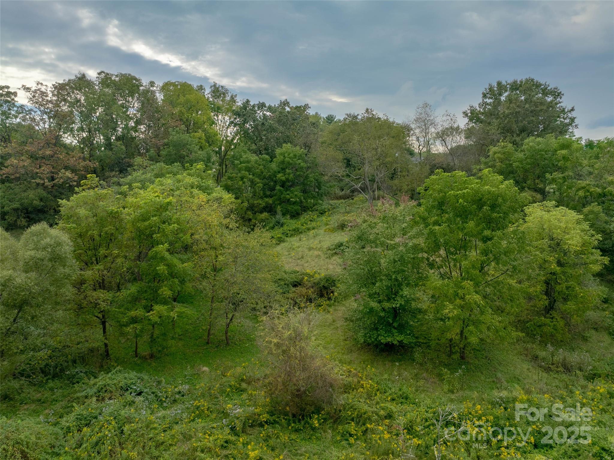 Acreage at 99999 Old Clyde Road, Canton, photo 8 of 15