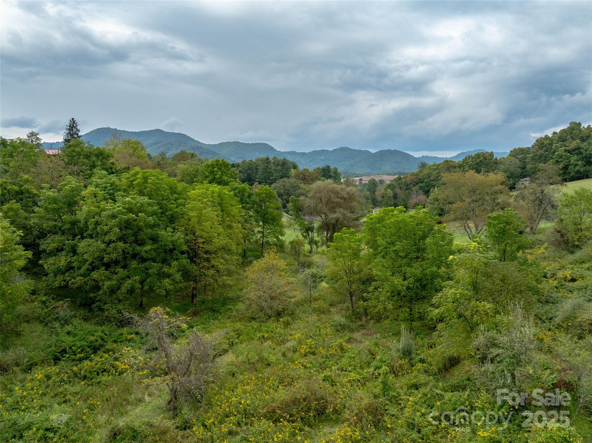 Acreage at 99999 Old Clyde Road, Canton, photo 9 of 15