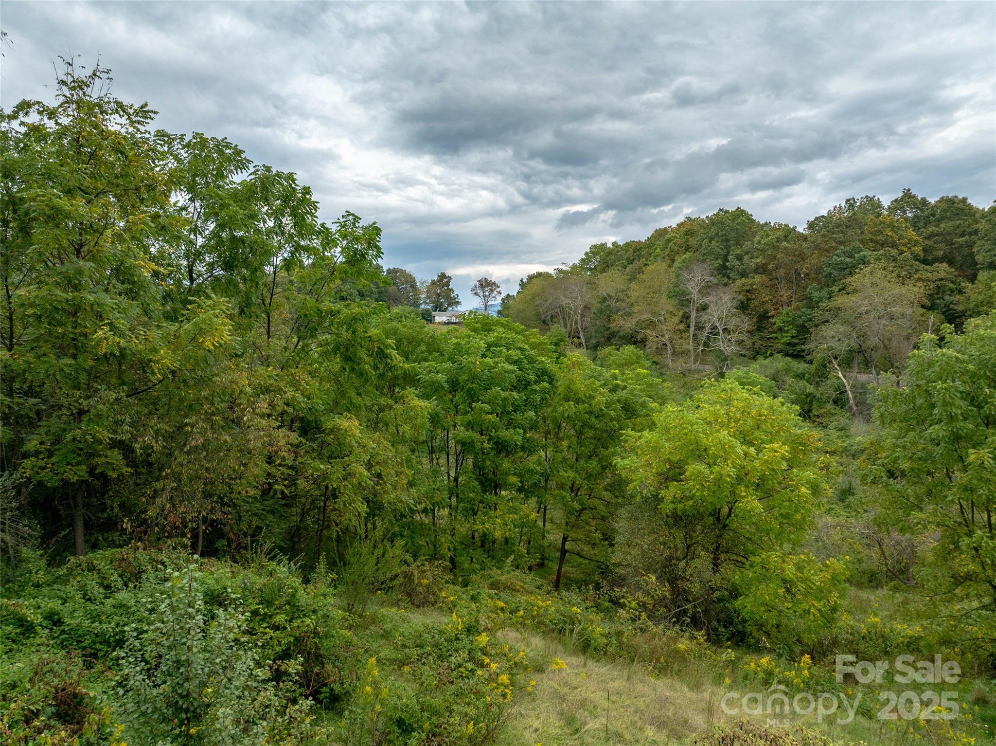 Acreage at 99999 Old Clyde Road, Canton, photo 13 of 15