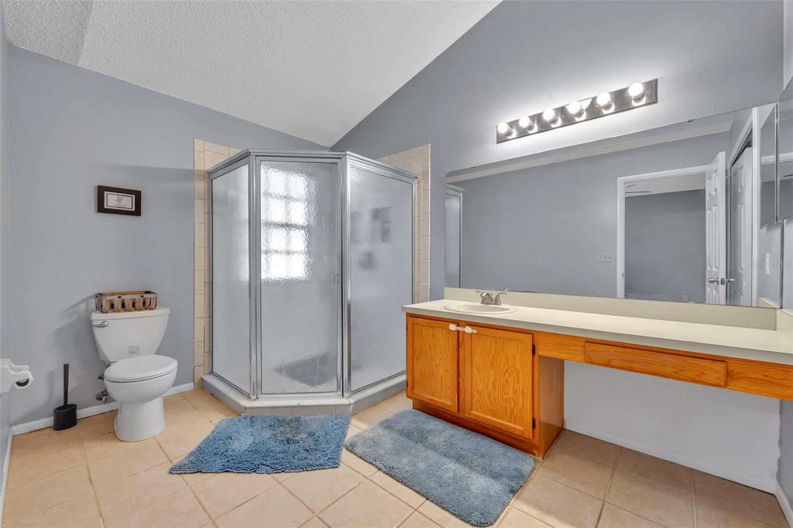 Primary bathroom #1 with large walk in shower and long vanity great for getting ready for the day. - 2810 CORNERSTONE CT, APOPKA