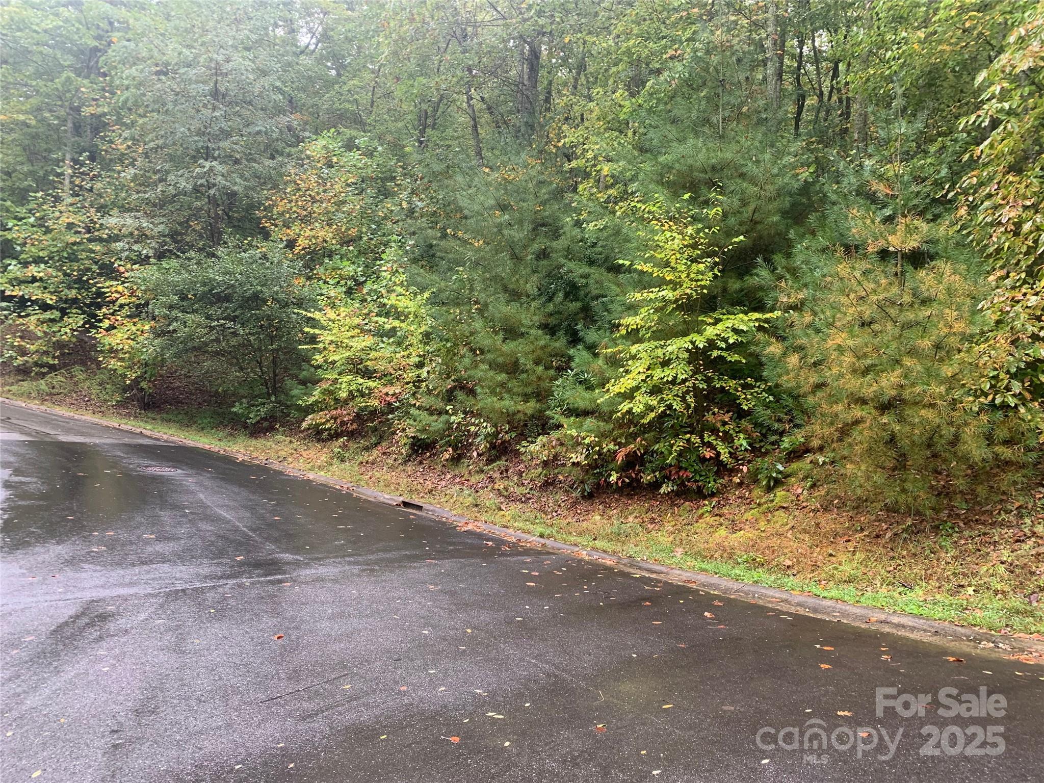 Lot at 208 Settings Boulevard, Black Mountain, photo 2 of 8