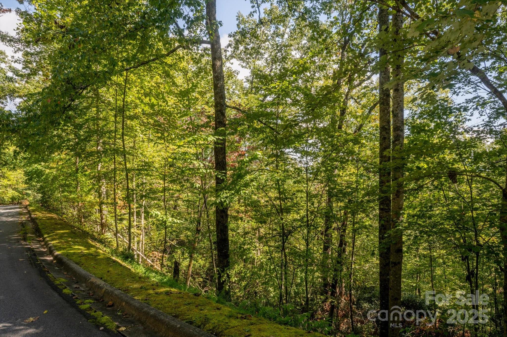 Lot at TBD Pine Mountain Trail, Brevard, photo 2 of 21
