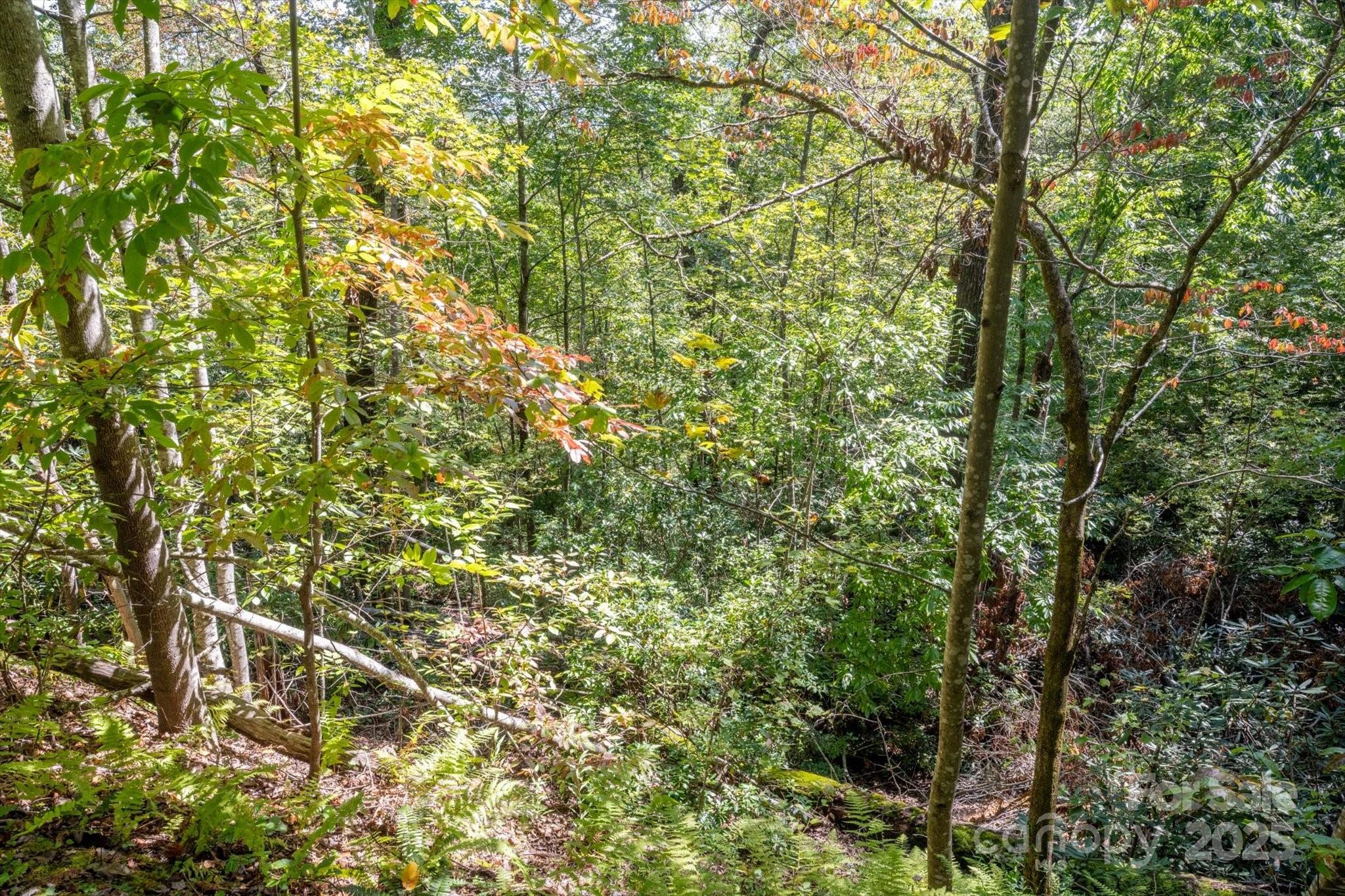 Lot at TBD Pine Mountain Trail, Brevard, photo 3 of 21