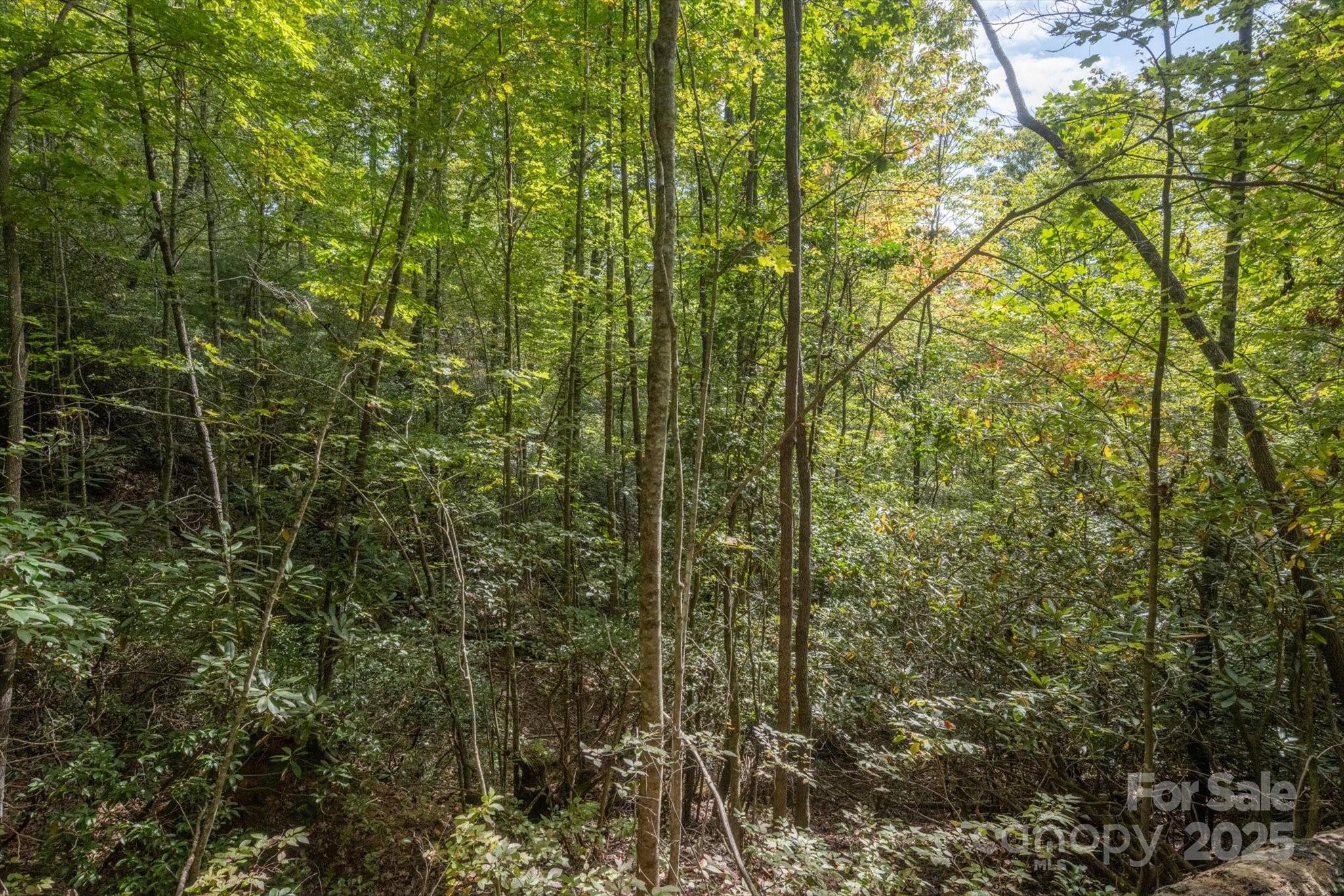Lot at TBD Pine Mountain Trail, Brevard, photo 4 of 21