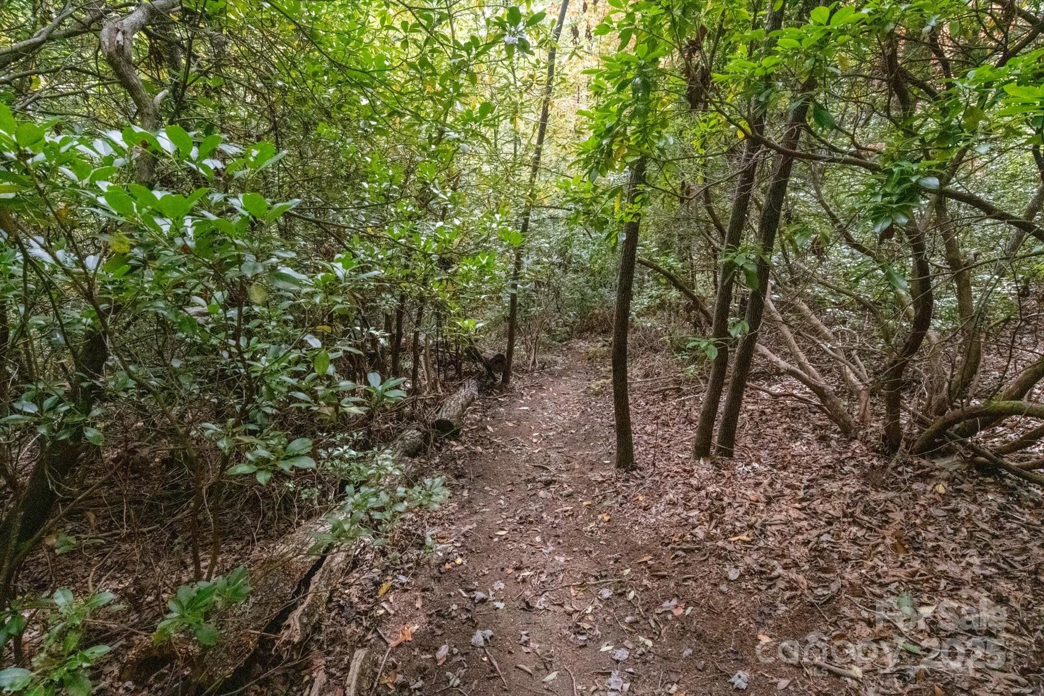 Lot at TBD Pine Mountain Trail, Brevard, photo 5 of 21