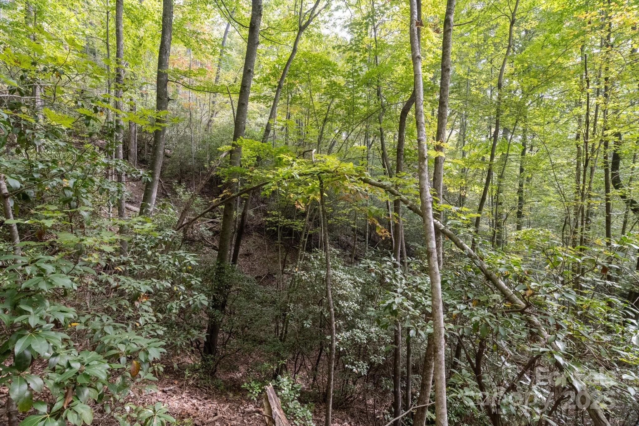 Lot at TBD Pine Mountain Trail, Brevard, photo 6 of 21