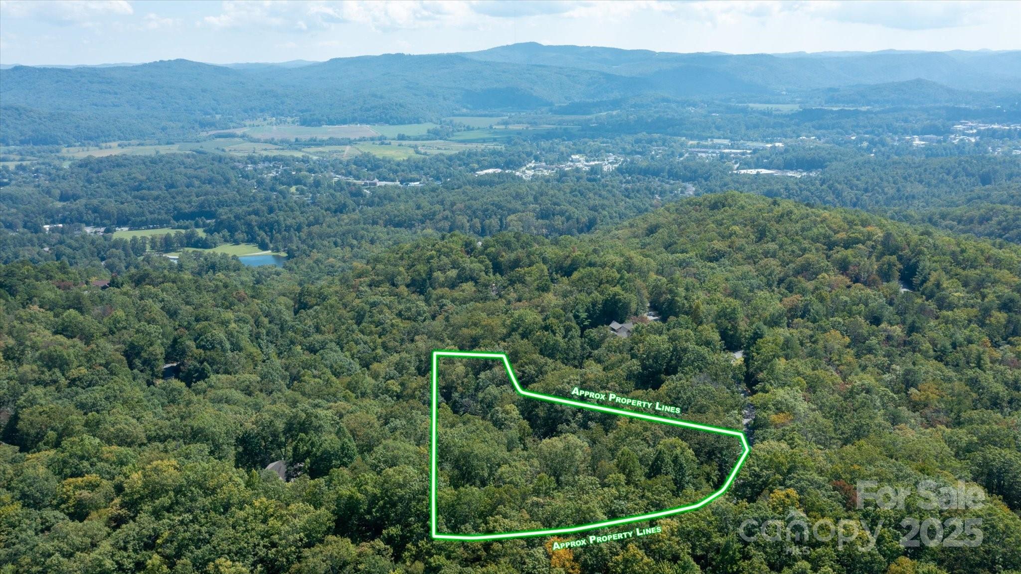 Lot at TBD Pine Mountain Trail, Brevard, photo 10 of 21