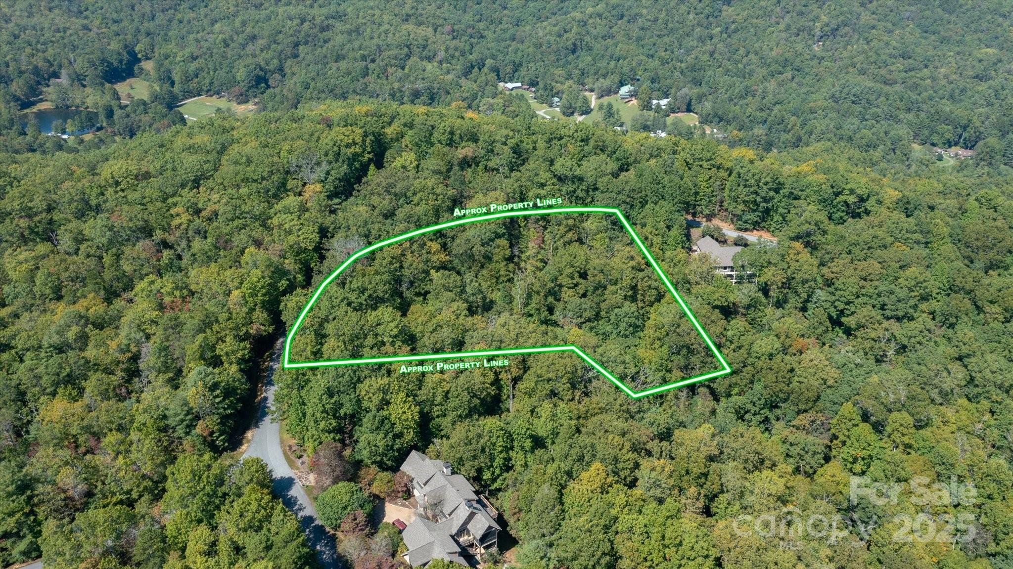 Lot at TBD Pine Mountain Trail, Brevard, photo 12 of 21