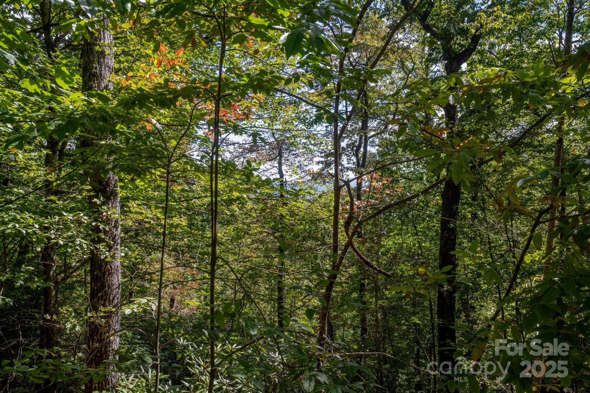 Lot at TBD Pine Mountain Trail, Brevard, photo 15 of 21