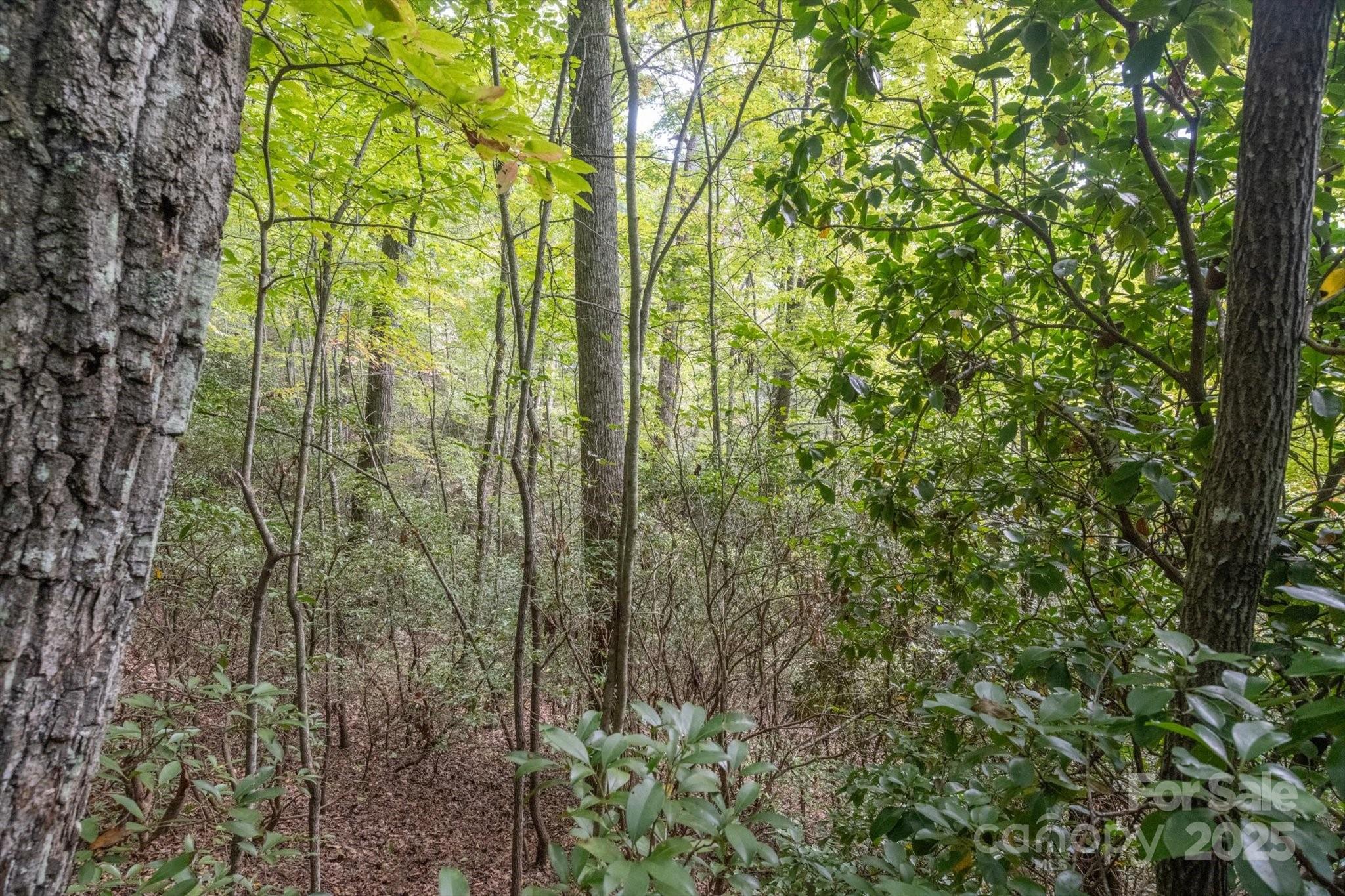 Lot at TBD Pine Mountain Trail, Brevard, photo 21 of 21