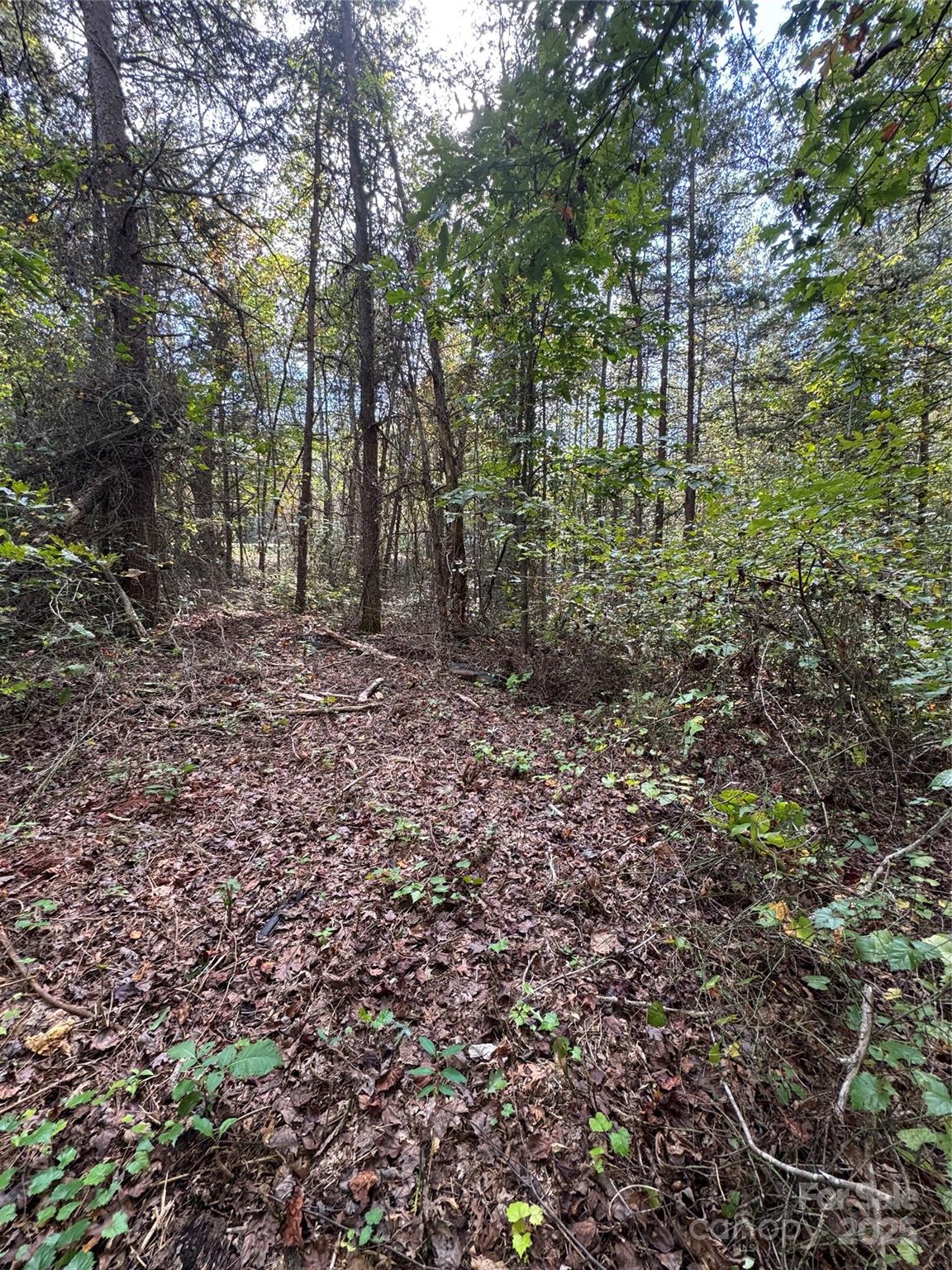 Lot at 00 Coolbrook Road, Statesville, photo 9 of 12