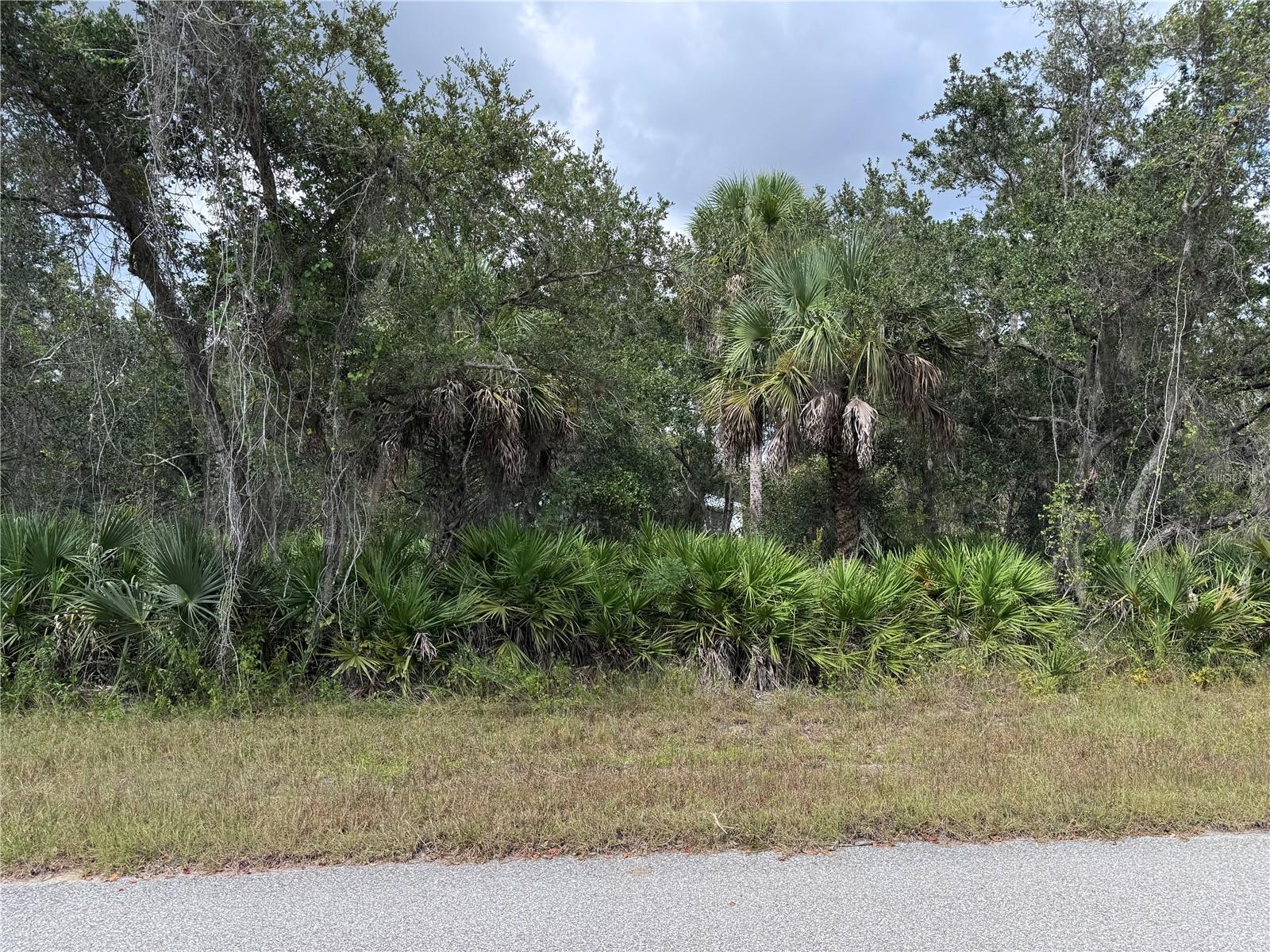 Land at 17110 GEOFFREY AVE, PORT CHARLOTTE, photo 2 of 4