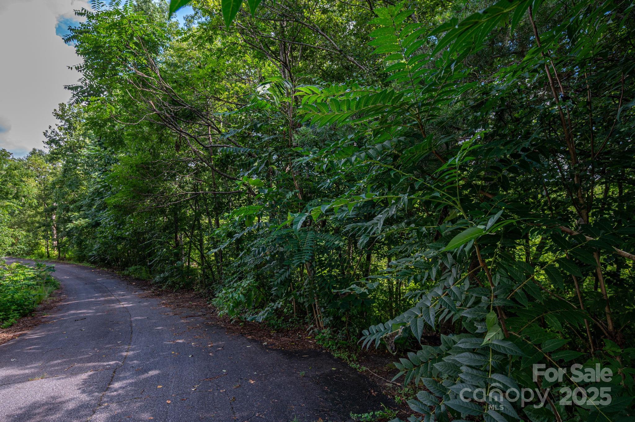 Lot at Lot 34 Line Drive, Forest City, photo 3 of 13