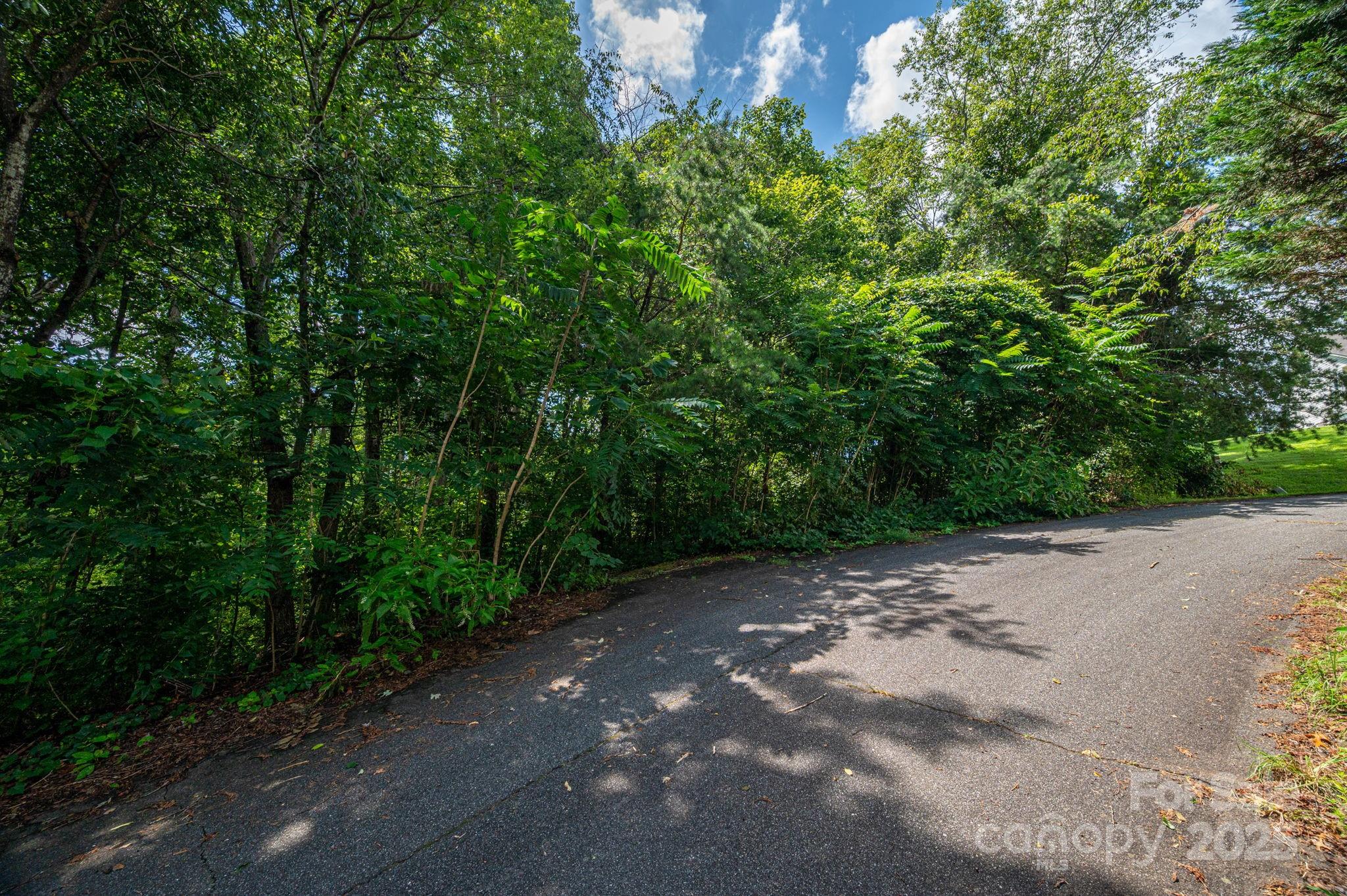 Lot 19 Line Drive