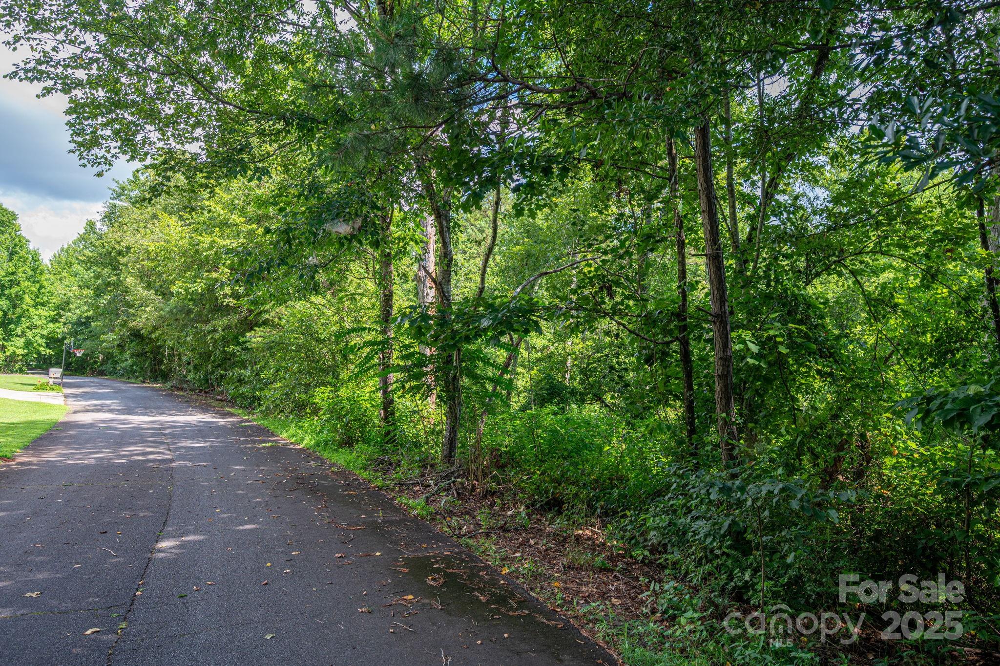 Lot at Lot 32 Line Drive, Forest City, photo 2 of 11