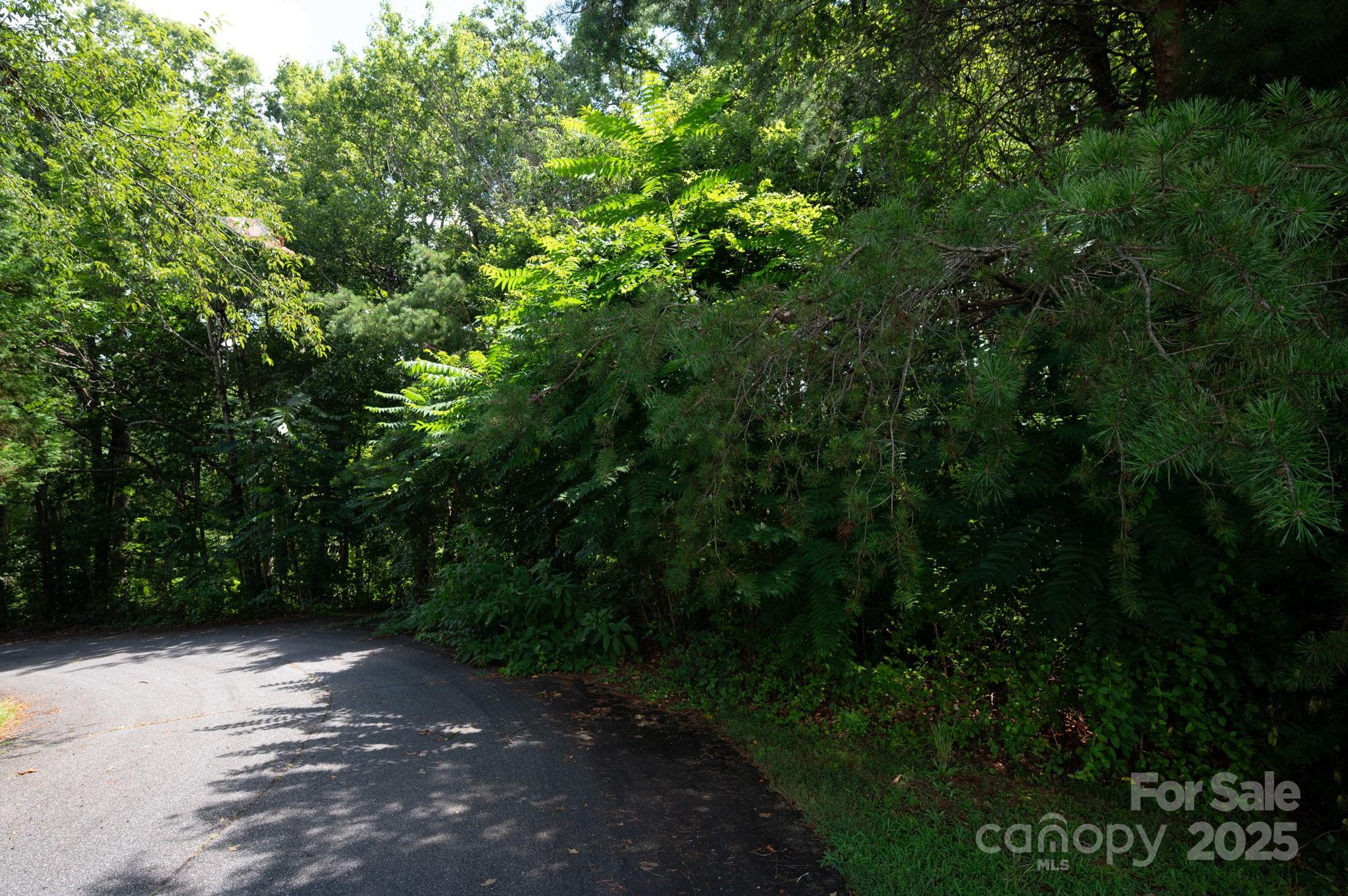 Lot at Lot 20 Line Drive, Forest City, photo 4 of 9
