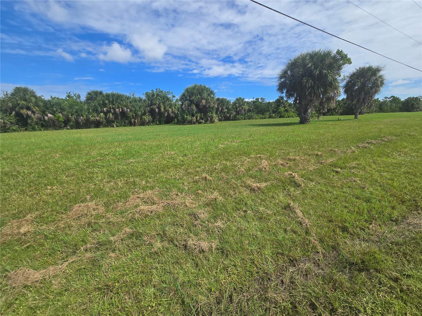 Land at 16963 ACAPULCO RD, PUNTA GORDA, photo 3 of 12