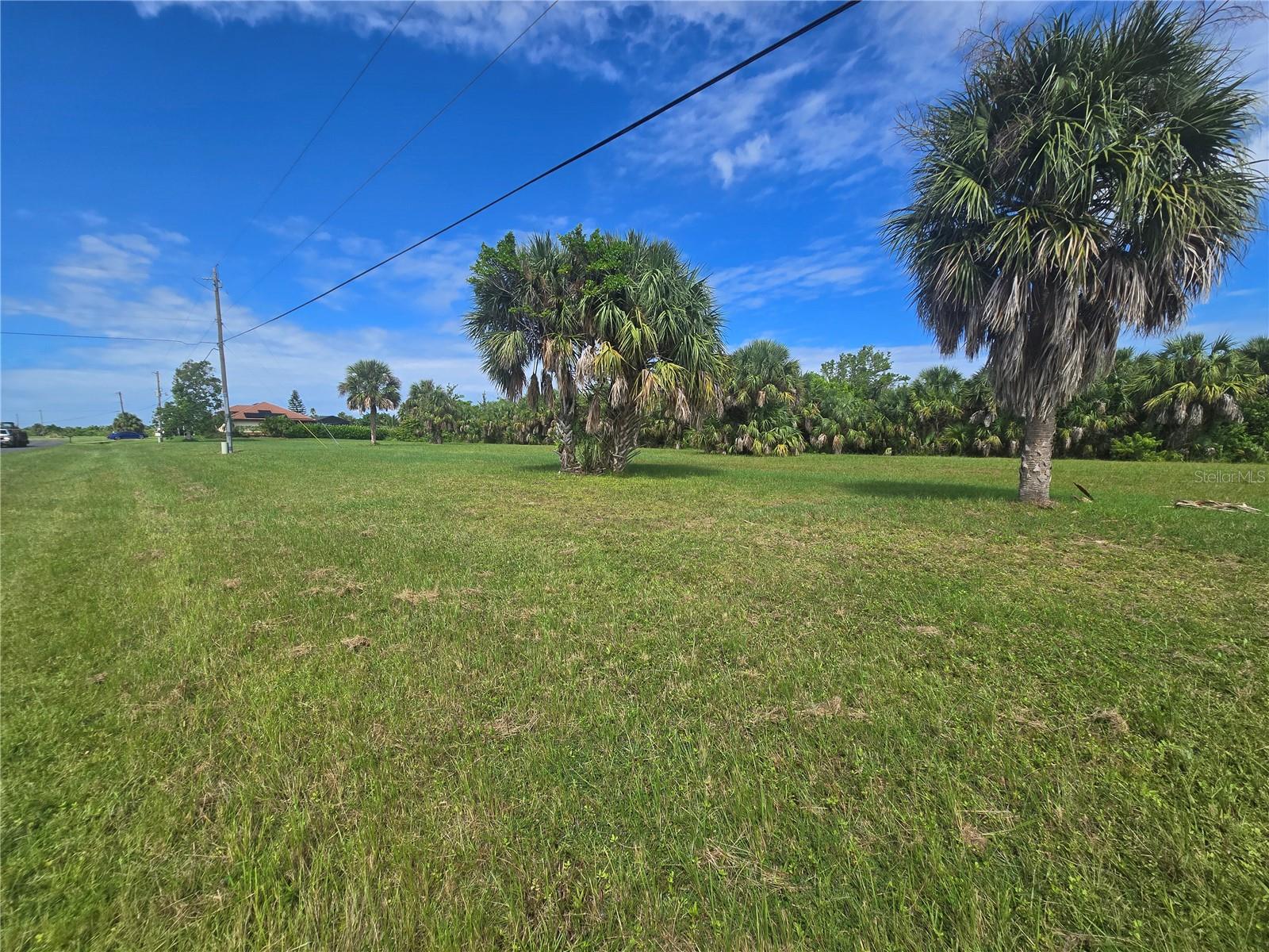 Land at 16955 ACAPULCO RD, PUNTA GORDA, photo 4 of 11