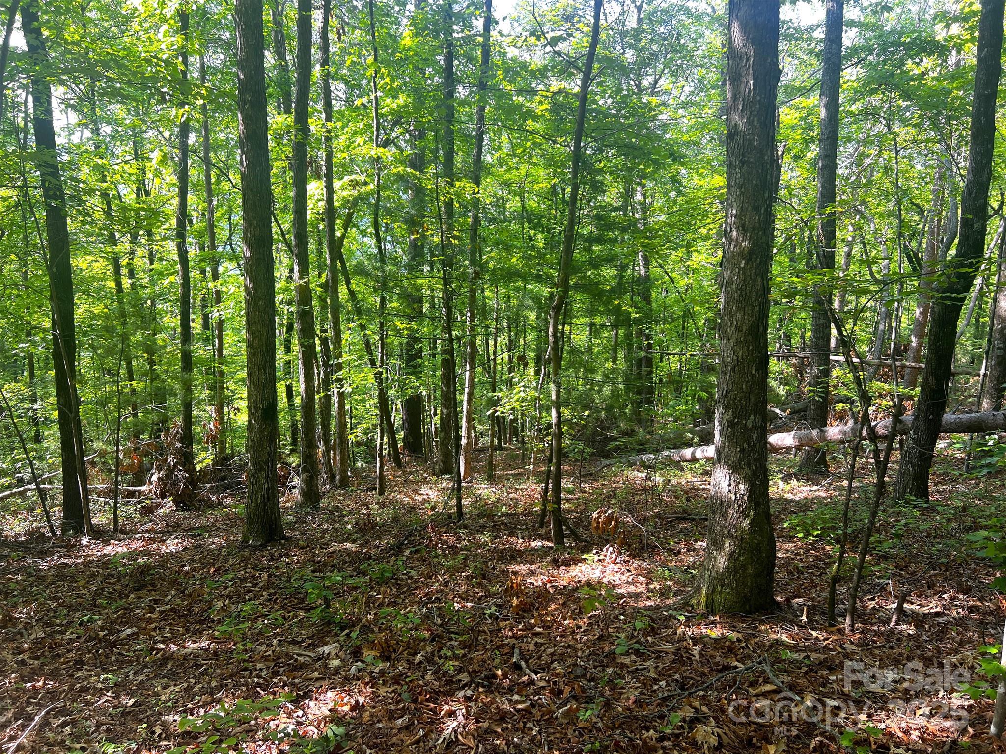 Lot at Lot 16 Arrowhead Ridge, Brevard, photo 3 of 18