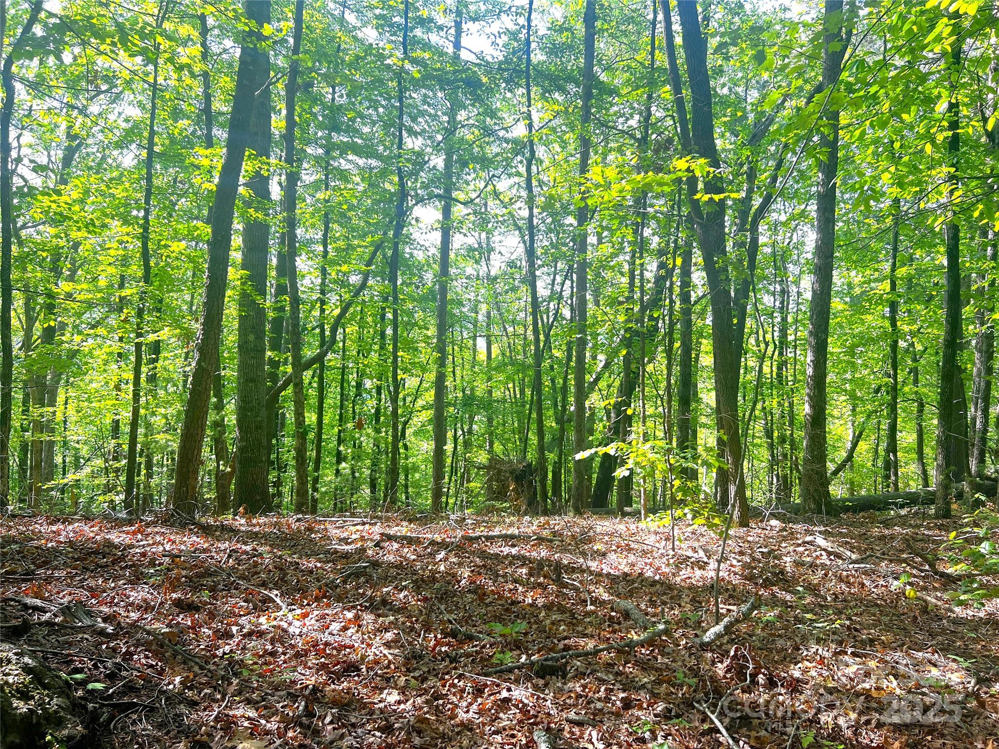 Lot at Lot 16 Arrowhead Ridge, Brevard, photo 4 of 18