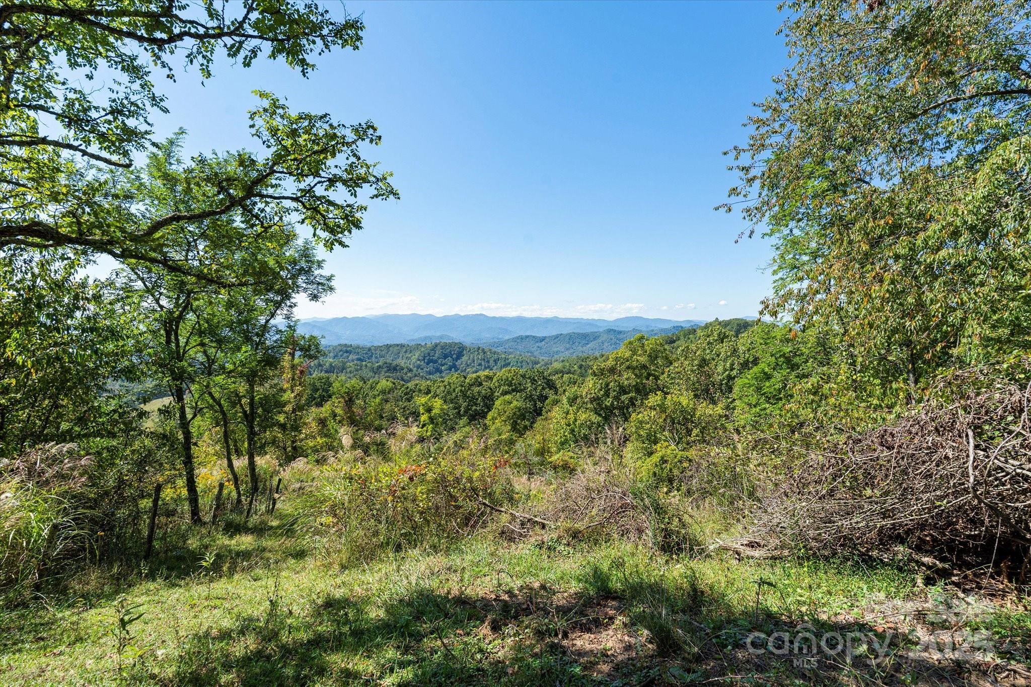 Views! - 1623 Ammons Branch Road, Marshall