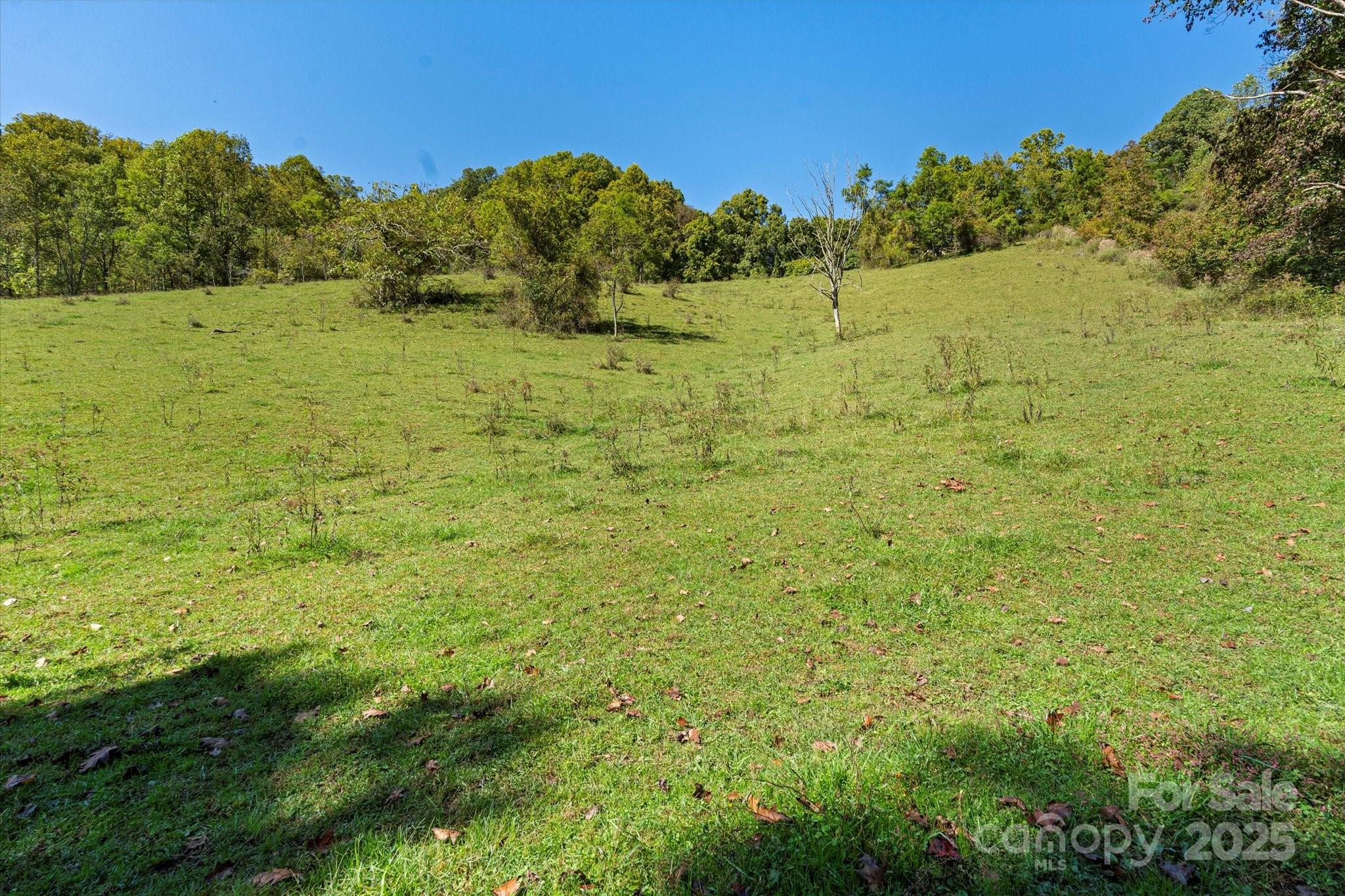 Pasture... - 1623 Ammons Branch Road, Marshall