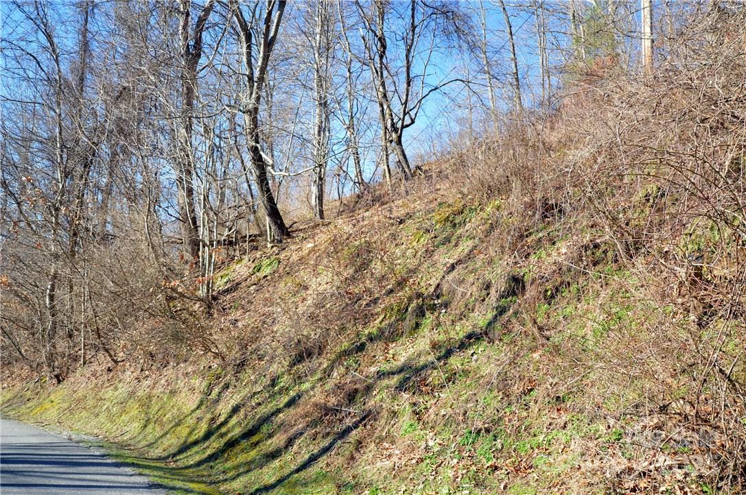 Lot as seen from Utah Mountain Road - 24 Lochmoor Lane, Waynesville