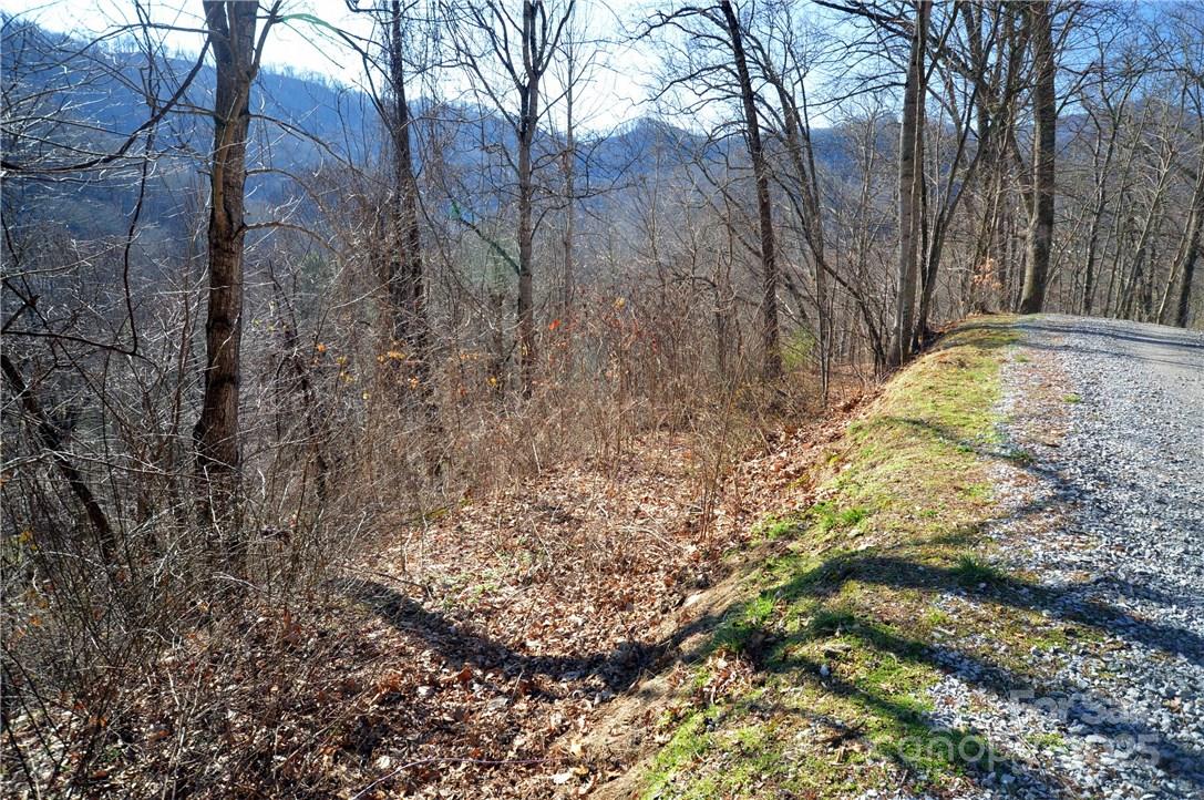 Drive to house pad on the left, Lochmoor Lane on the right - 24 Lochmoor Lane, Waynesville