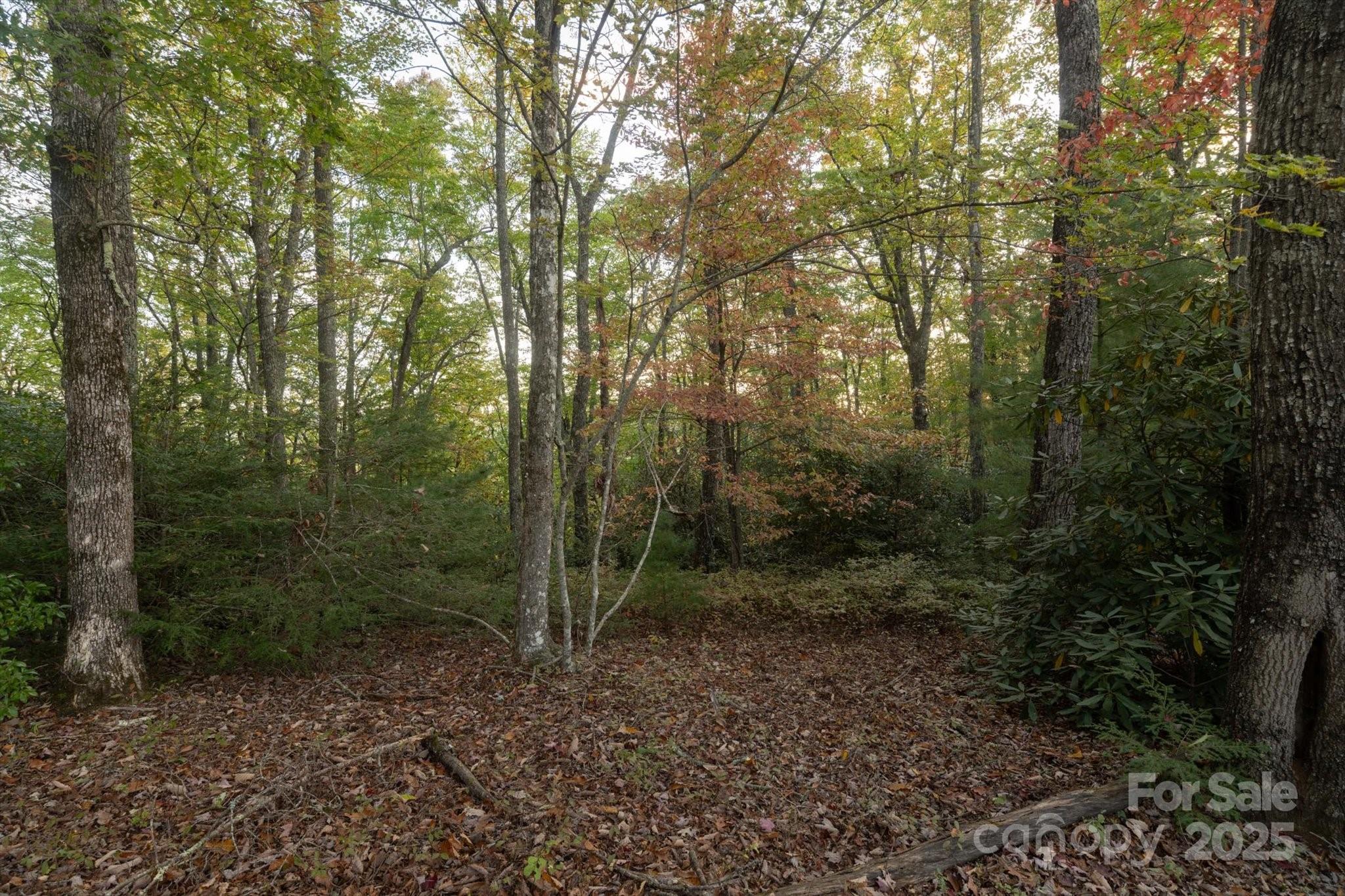 Lot at TBD Pine Mountain Trail, Brevard, photo 2 of 20