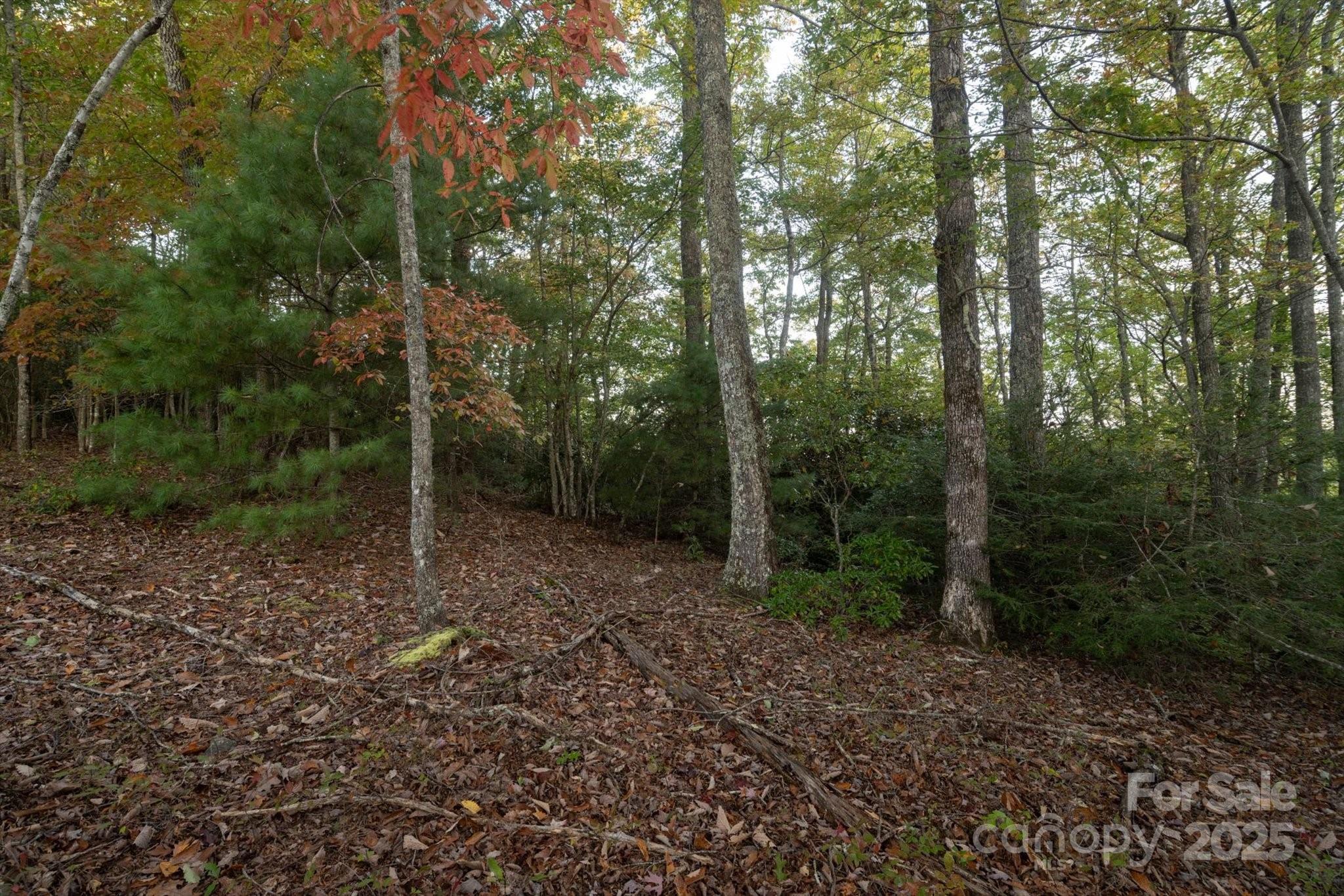 Lot at TBD Pine Mountain Trail, Brevard, photo 3 of 20