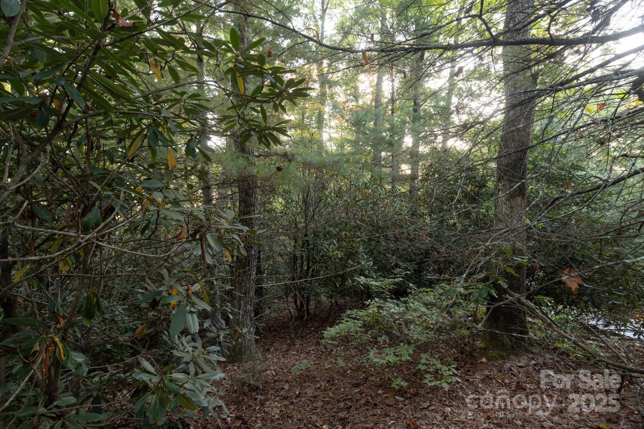 Lot at TBD Pine Mountain Trail, Brevard, photo 4 of 20