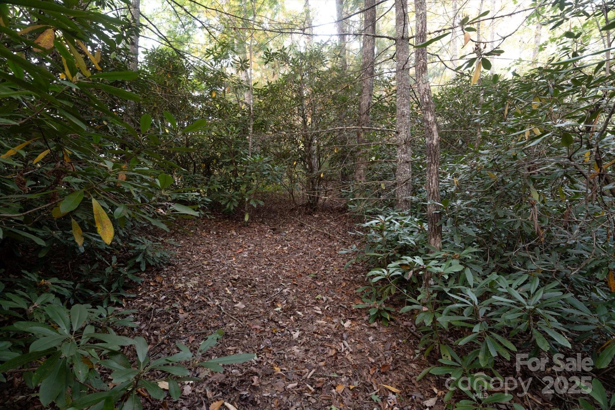 Lot at TBD Pine Mountain Trail, Brevard, photo 5 of 20