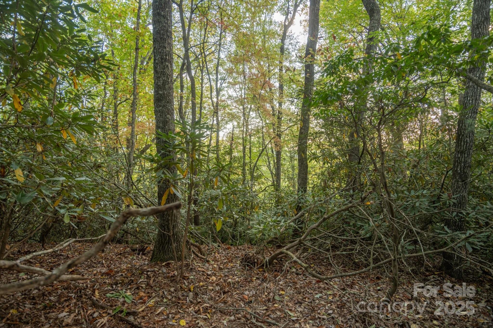 Lot at TBD Pine Mountain Trail, Brevard, photo 6 of 20
