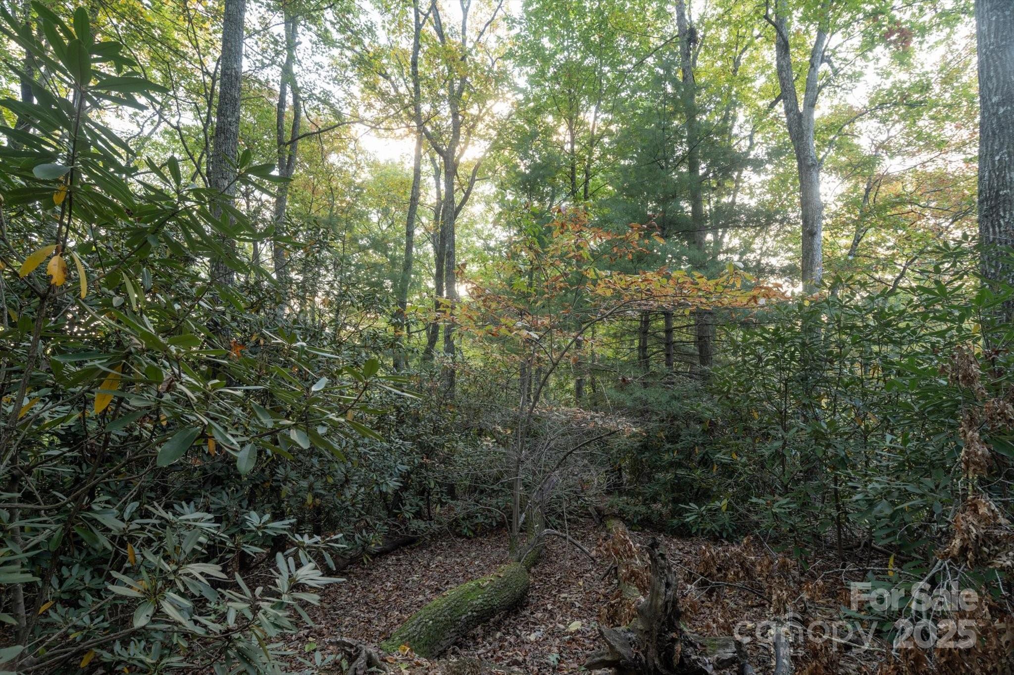 Lot at TBD Pine Mountain Trail, Brevard, photo 7 of 20