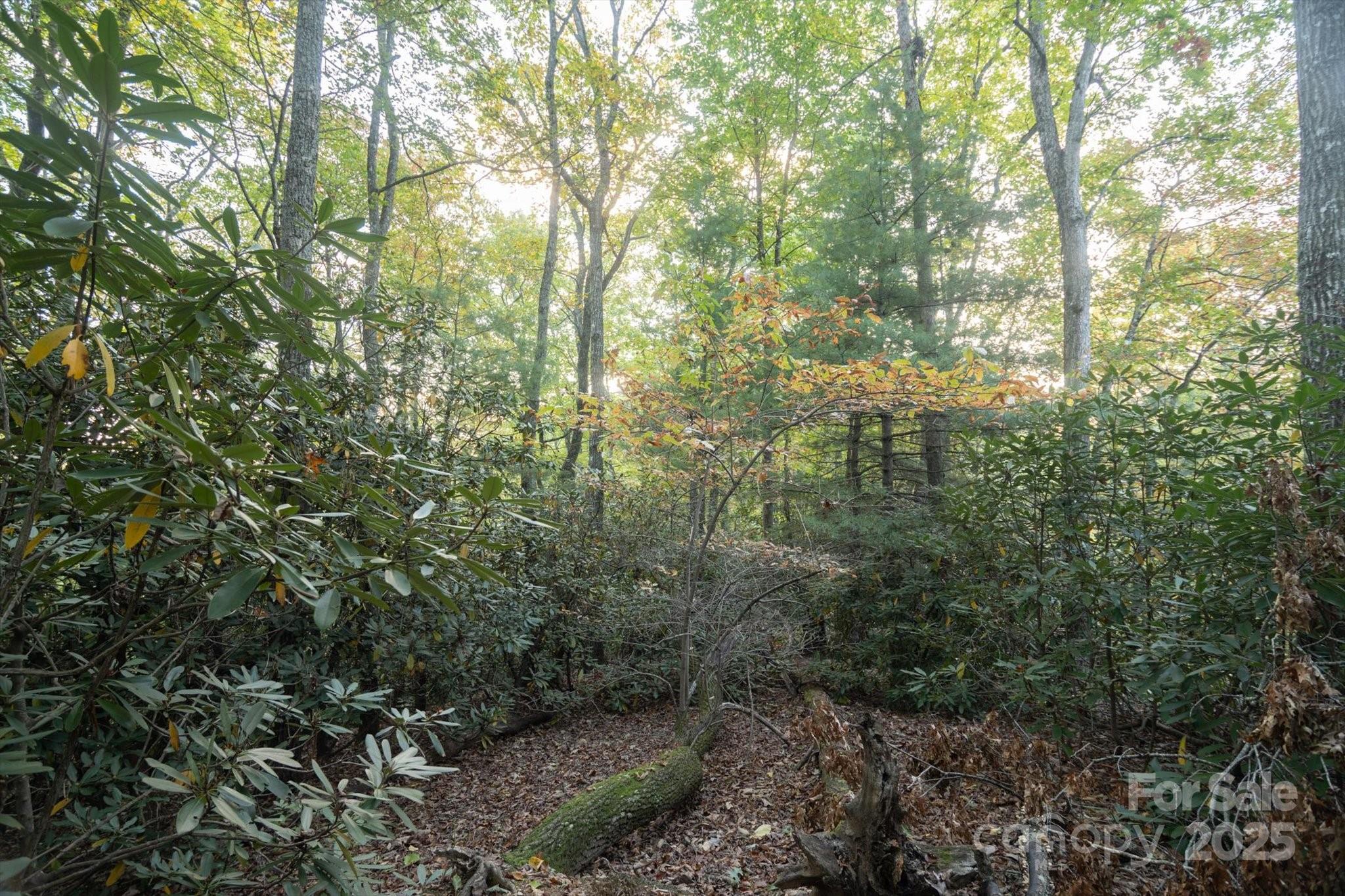 Lot at TBD Pine Mountain Trail, Brevard, photo 8 of 20