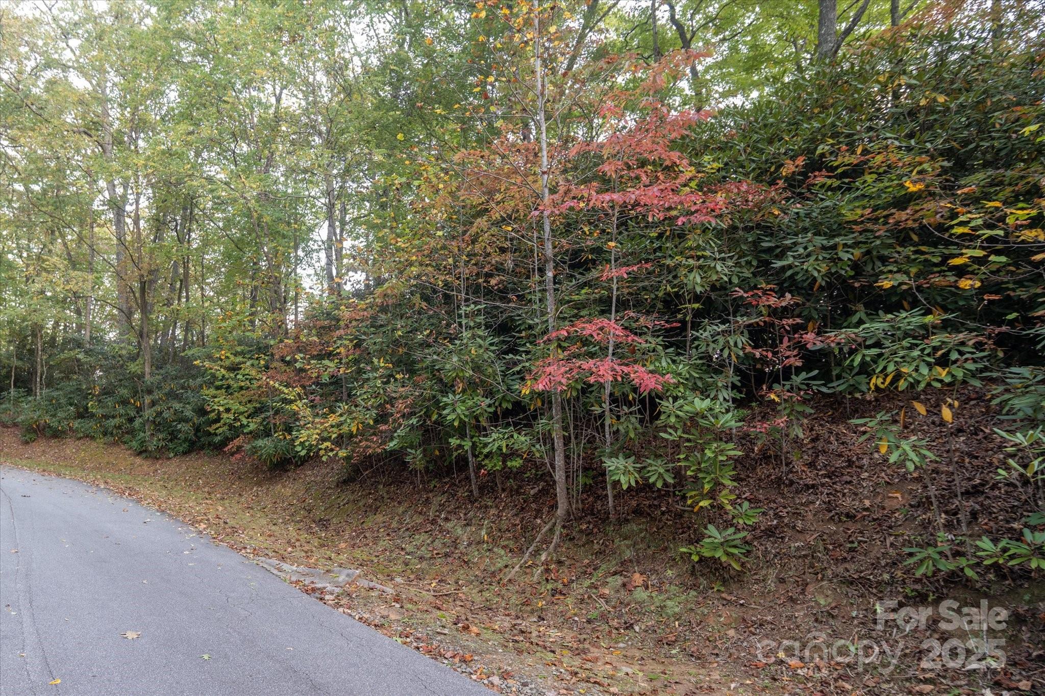 Lot at TBD Pine Mountain Trail, Brevard, photo 10 of 20