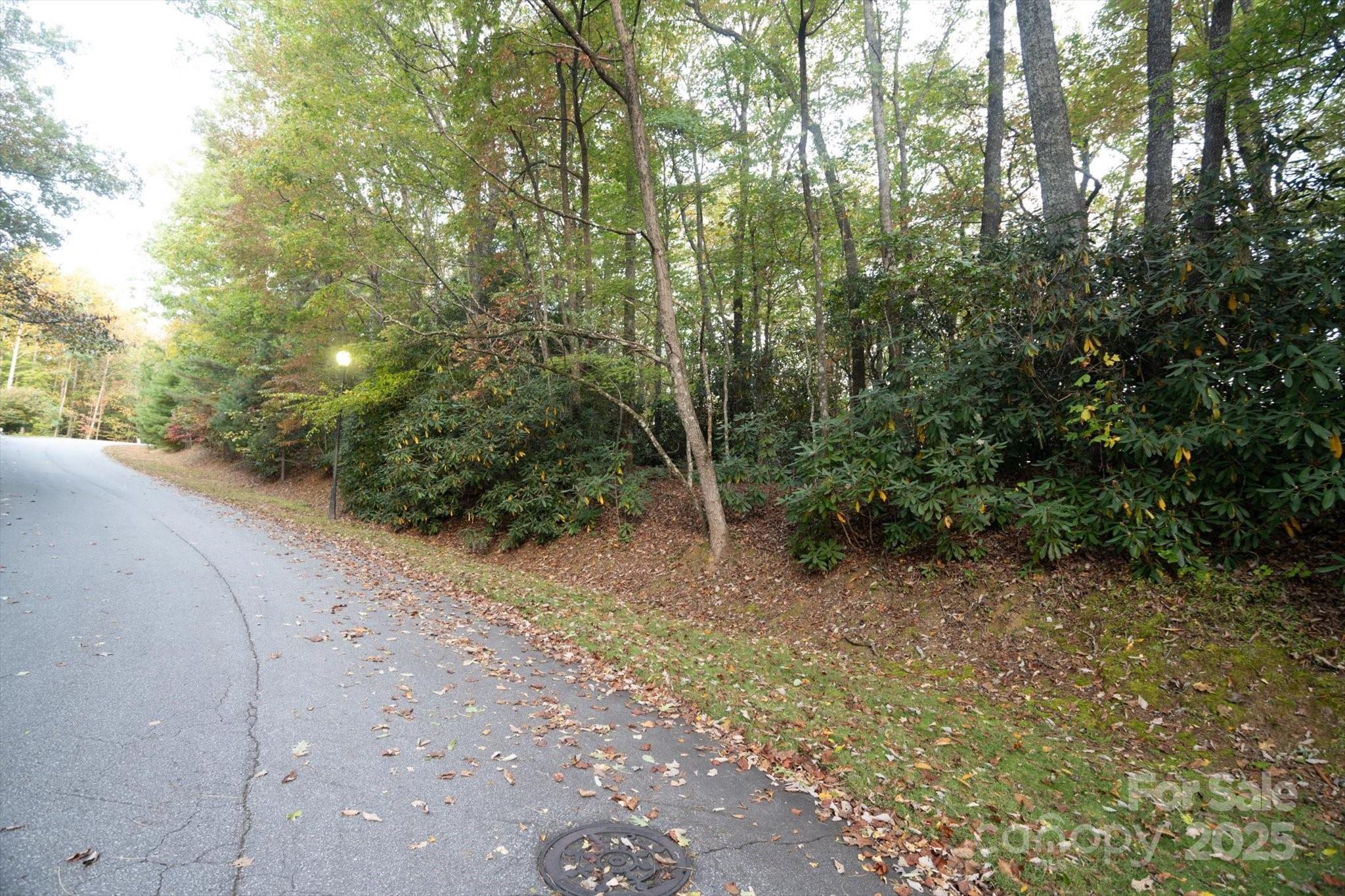 Lot at TBD Pine Mountain Trail, Brevard, photo 11 of 20