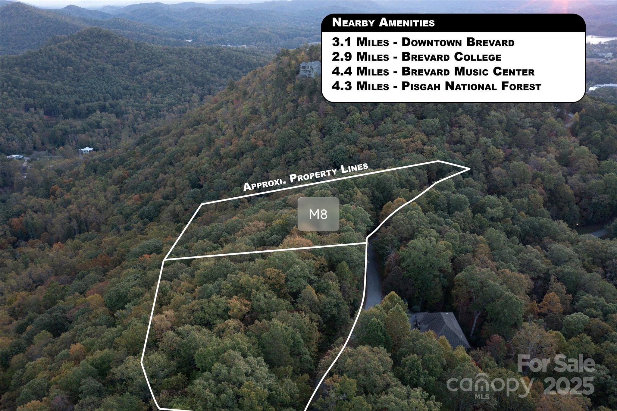 Lot at TBD Pine Mountain Trail, Brevard, photo 12 of 20