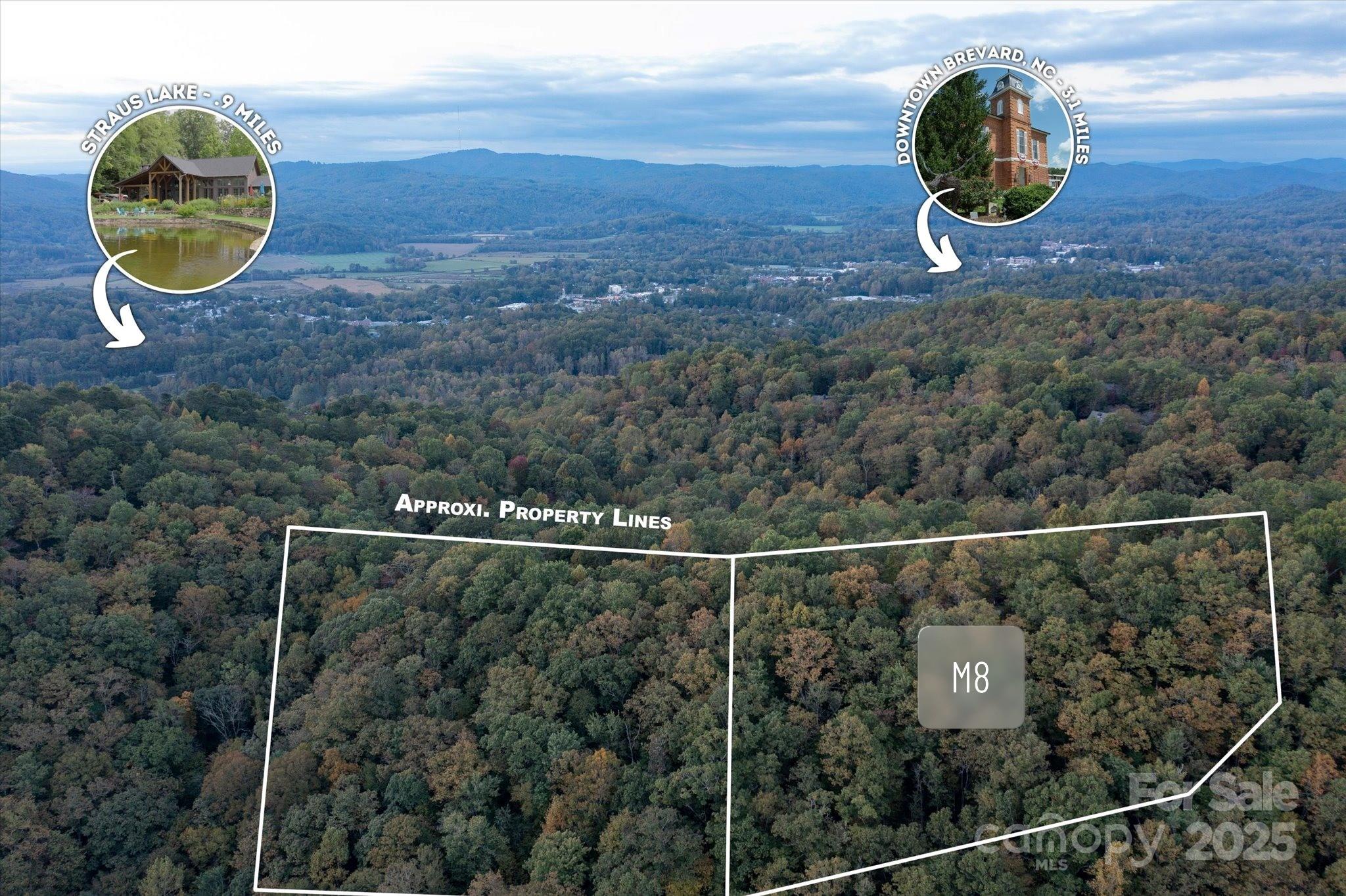 Lot at TBD Pine Mountain Trail, Brevard, photo 13 of 20