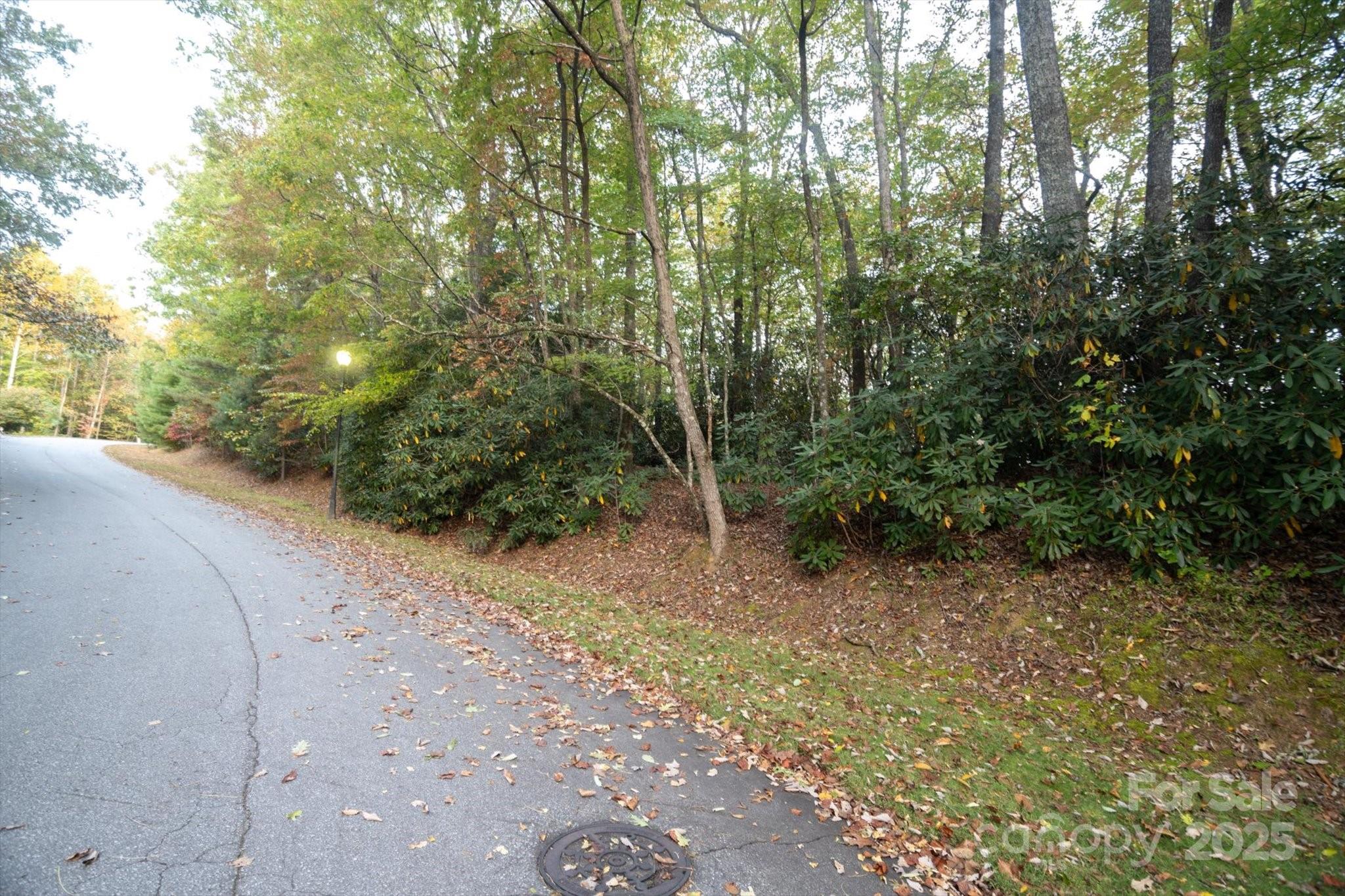 Lot at TBD Pine Mountain Trail, Brevard, photo 2 of 17