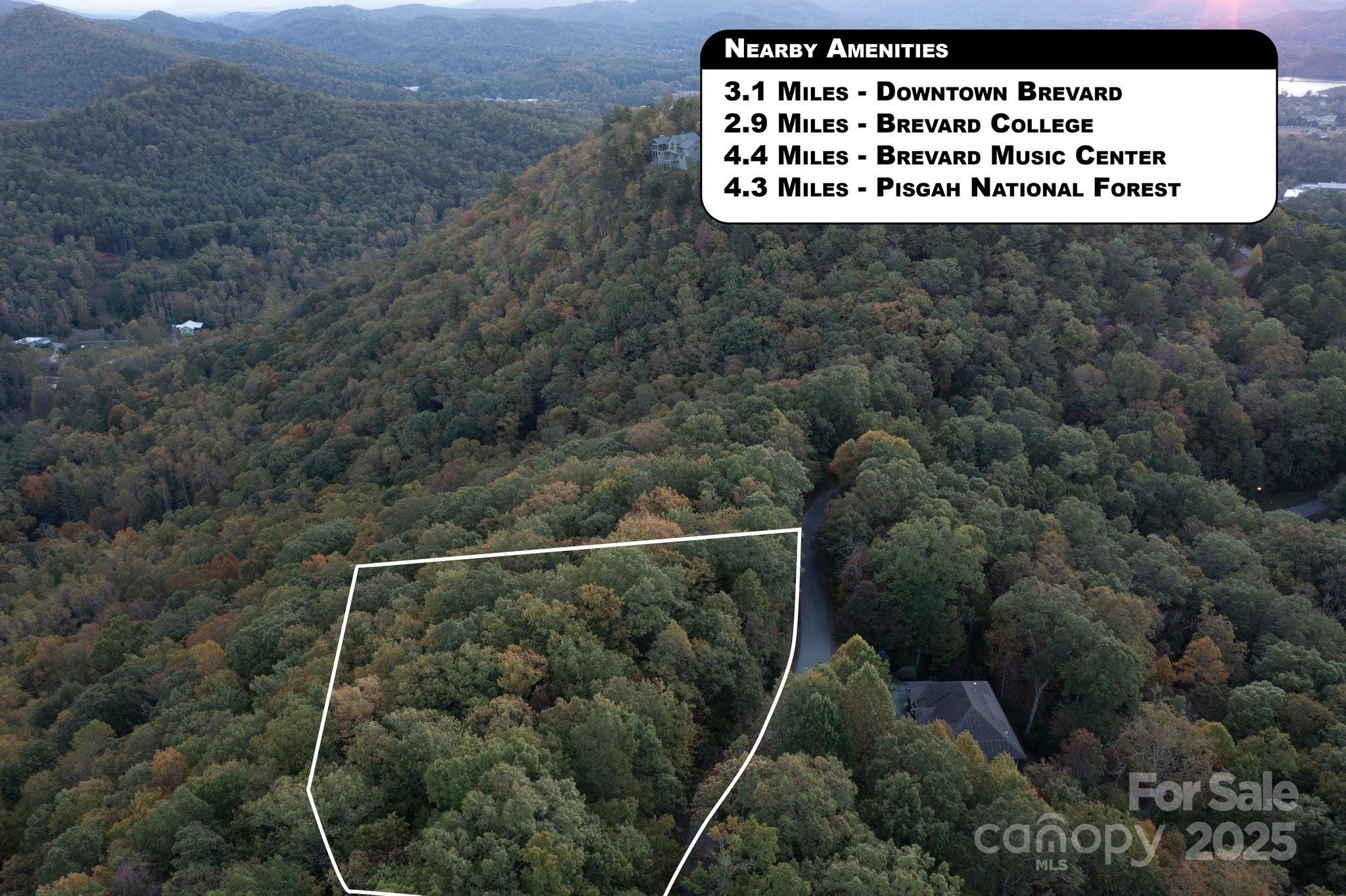 Lot at TBD Pine Mountain Trail, Brevard, photo 20 of 20