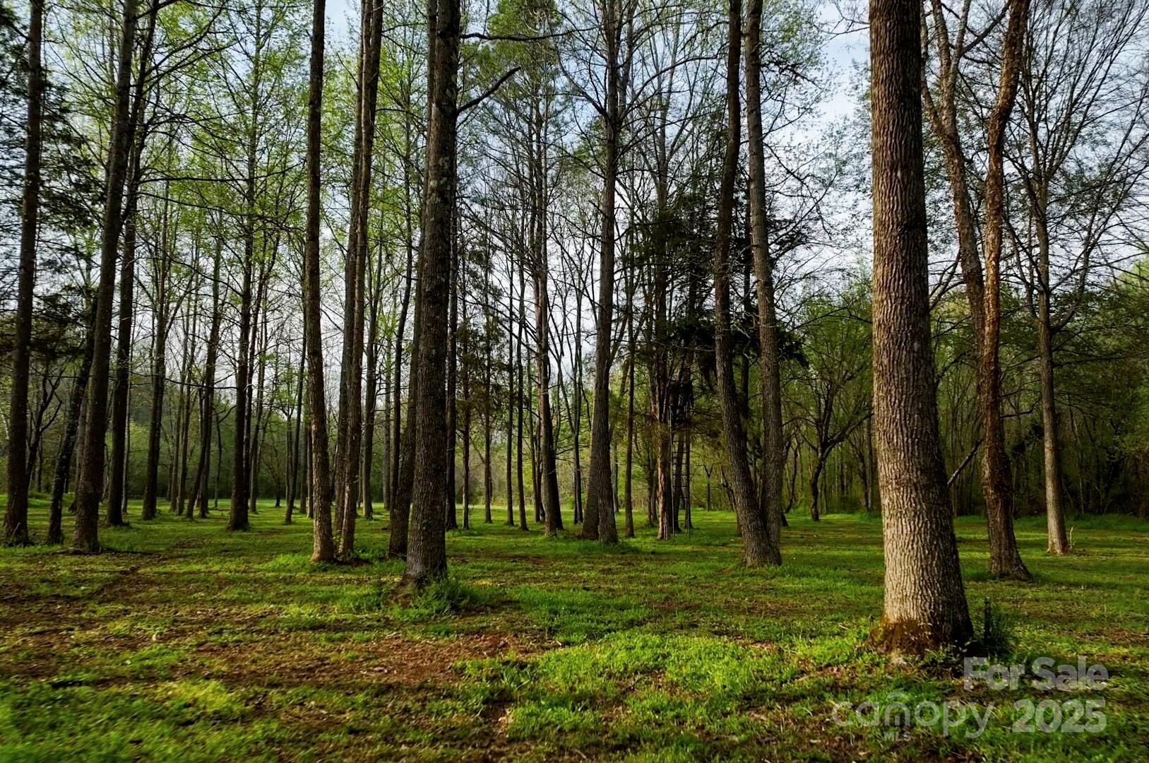 Acreage at 634 Patterson Farm Road, Mooresville, photo 10 of 19