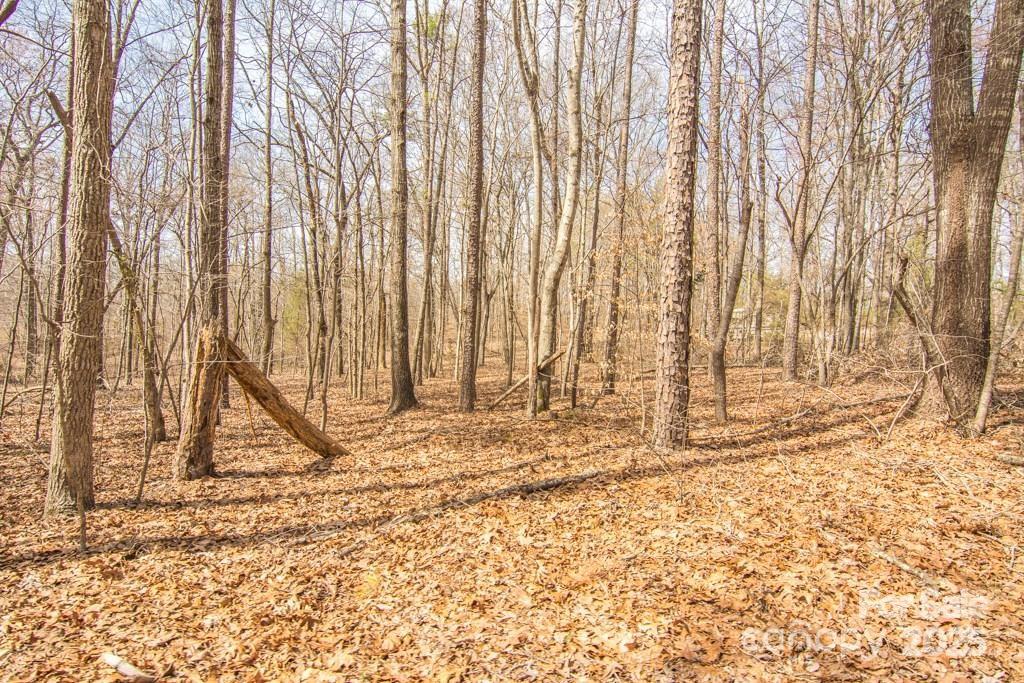 Acreage at 000 Jim Wilson Road, Indian Land, photo 2 of 3