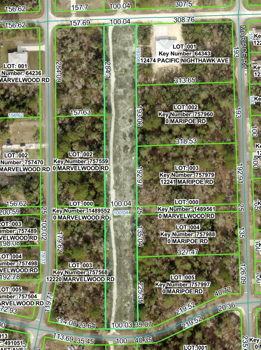 PACIFIC NIGHTHAWK AVE