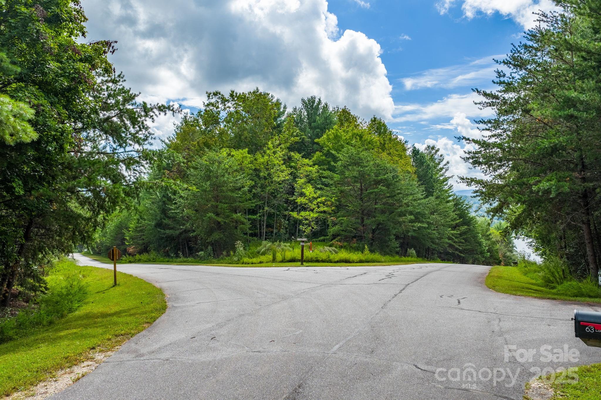 Lot at 913 Bear Cliff Drive, Nebo, photo 3 of 36